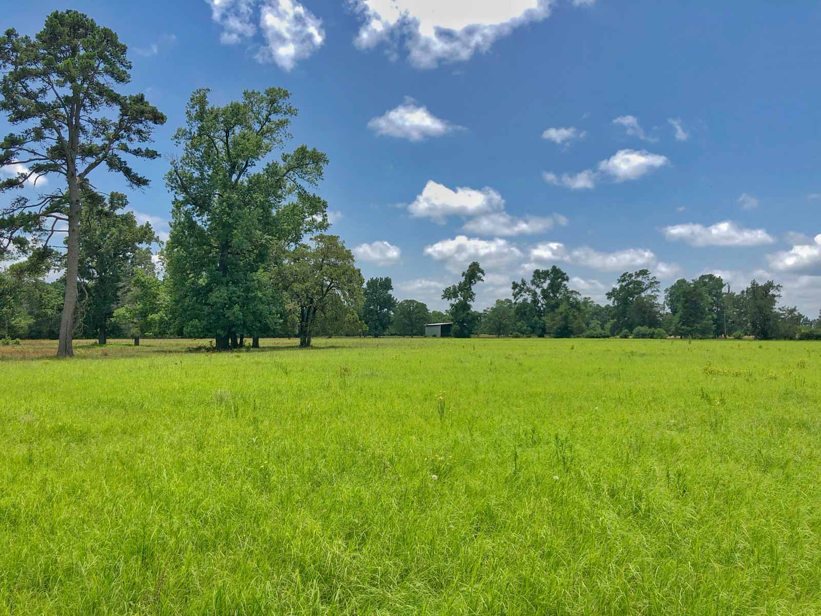 Spring Branch Ranch property picture 17 of 40