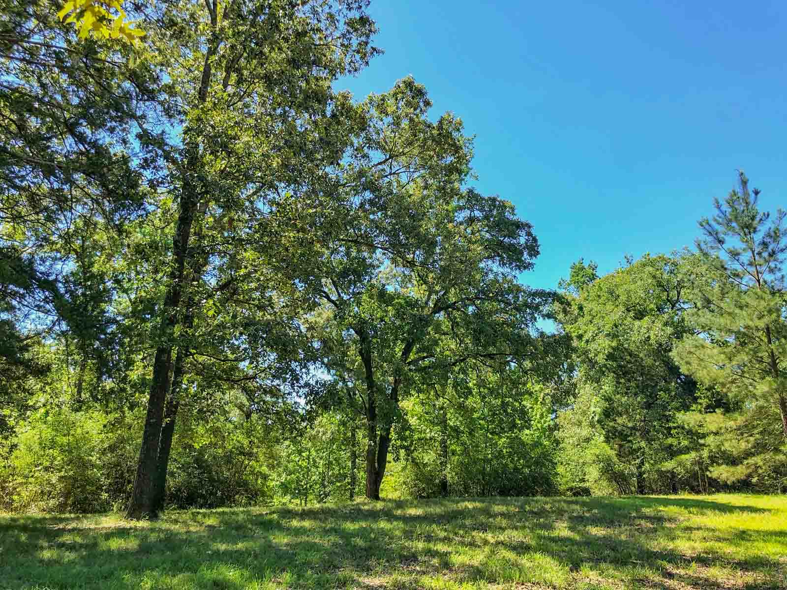 Spring Branch Ranch property picture 2 of 40