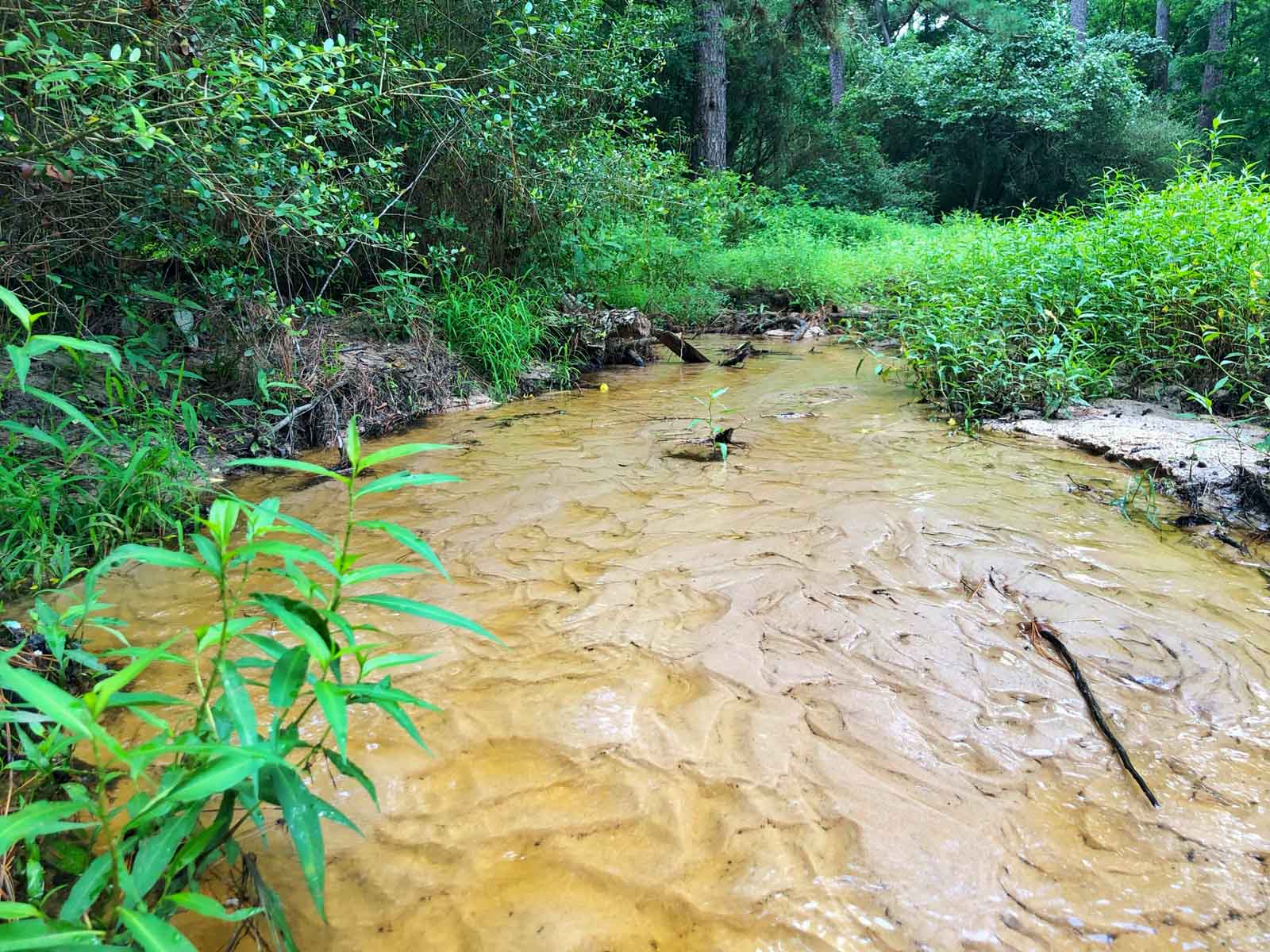 Spring Branch Ranch property picture 34 of 40