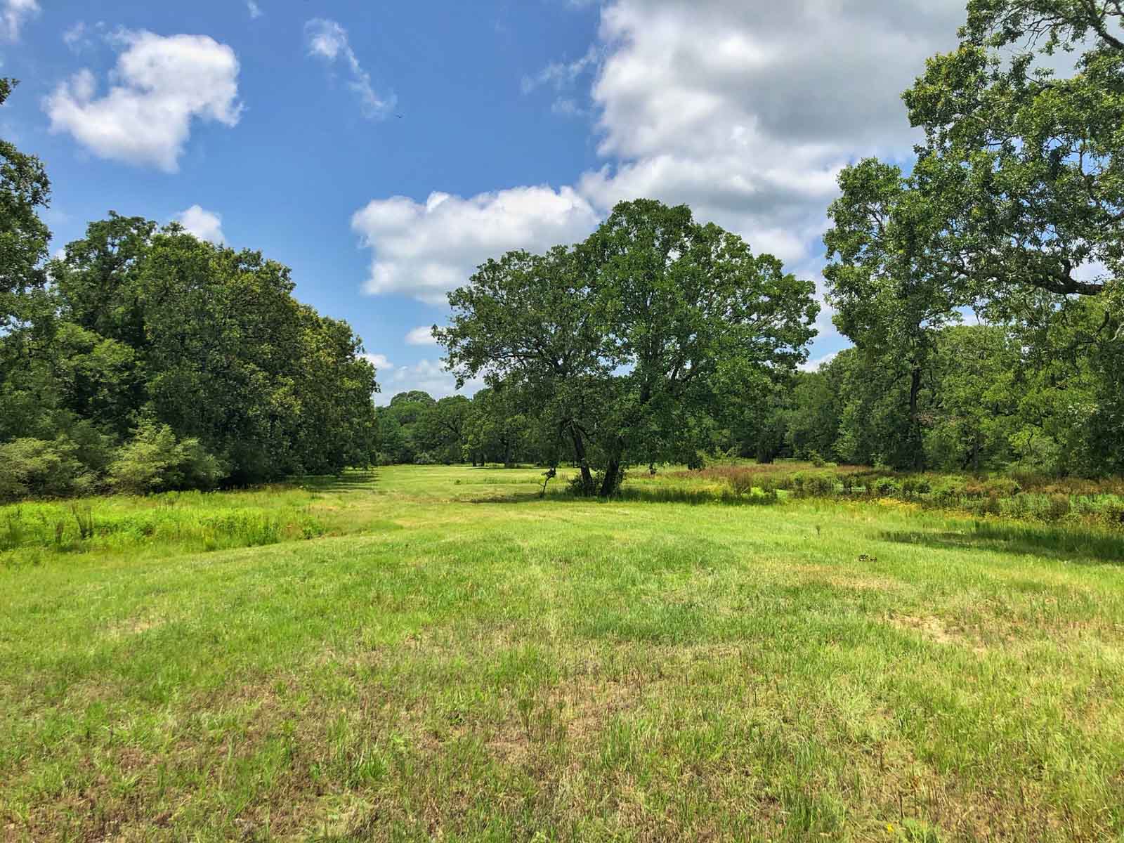 Spring Branch Ranch property picture 19 of 40