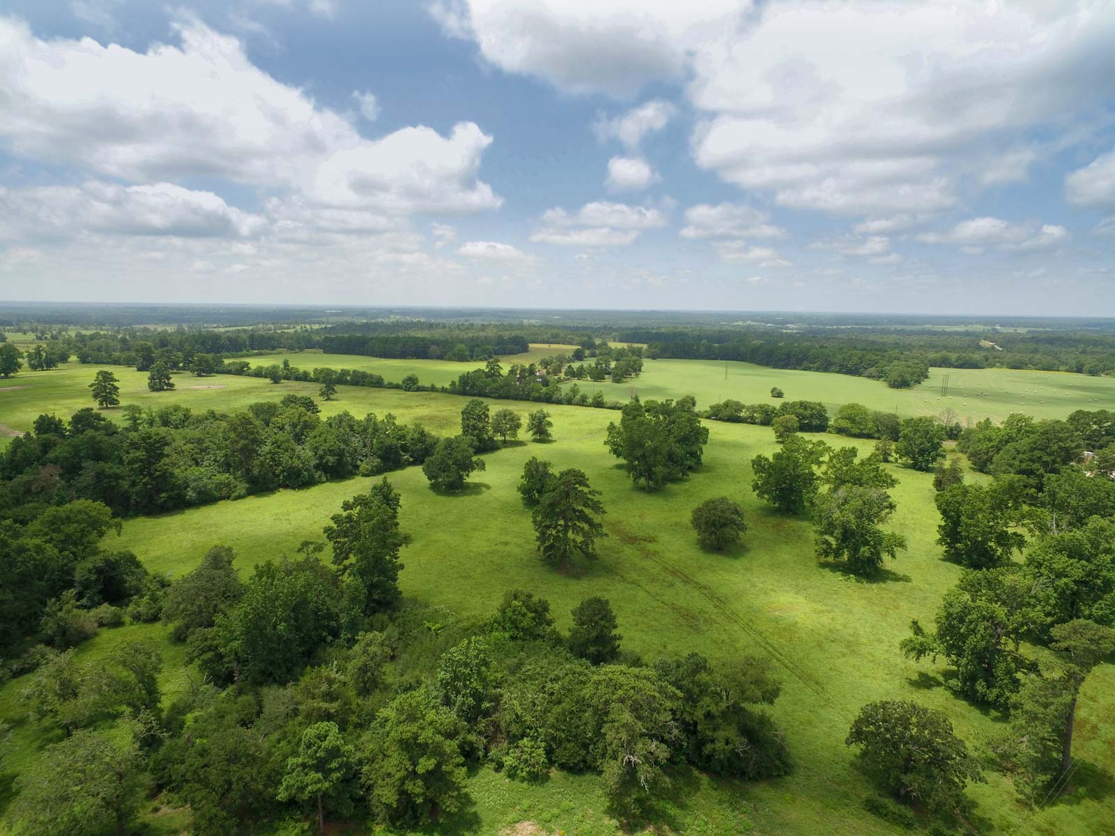 Spring Branch Ranch property picture 4 of 40