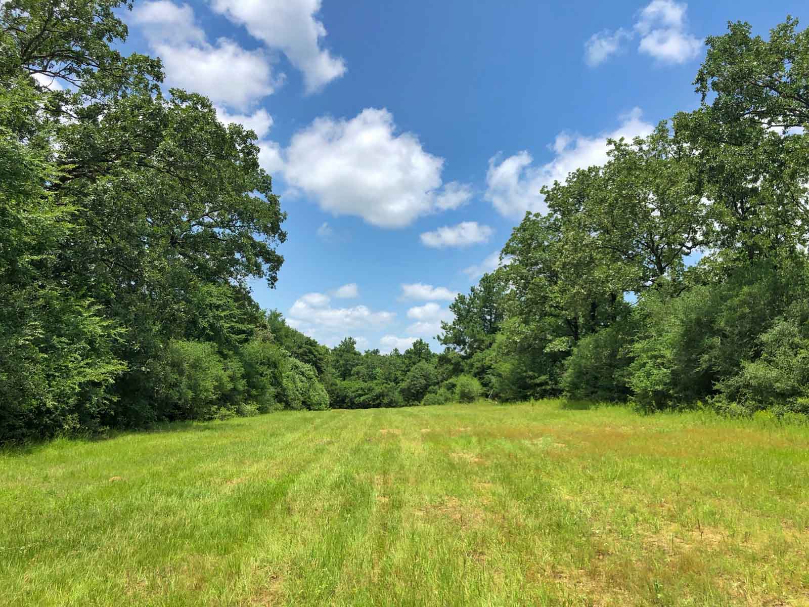 Spring Branch Ranch property picture 20 of 40