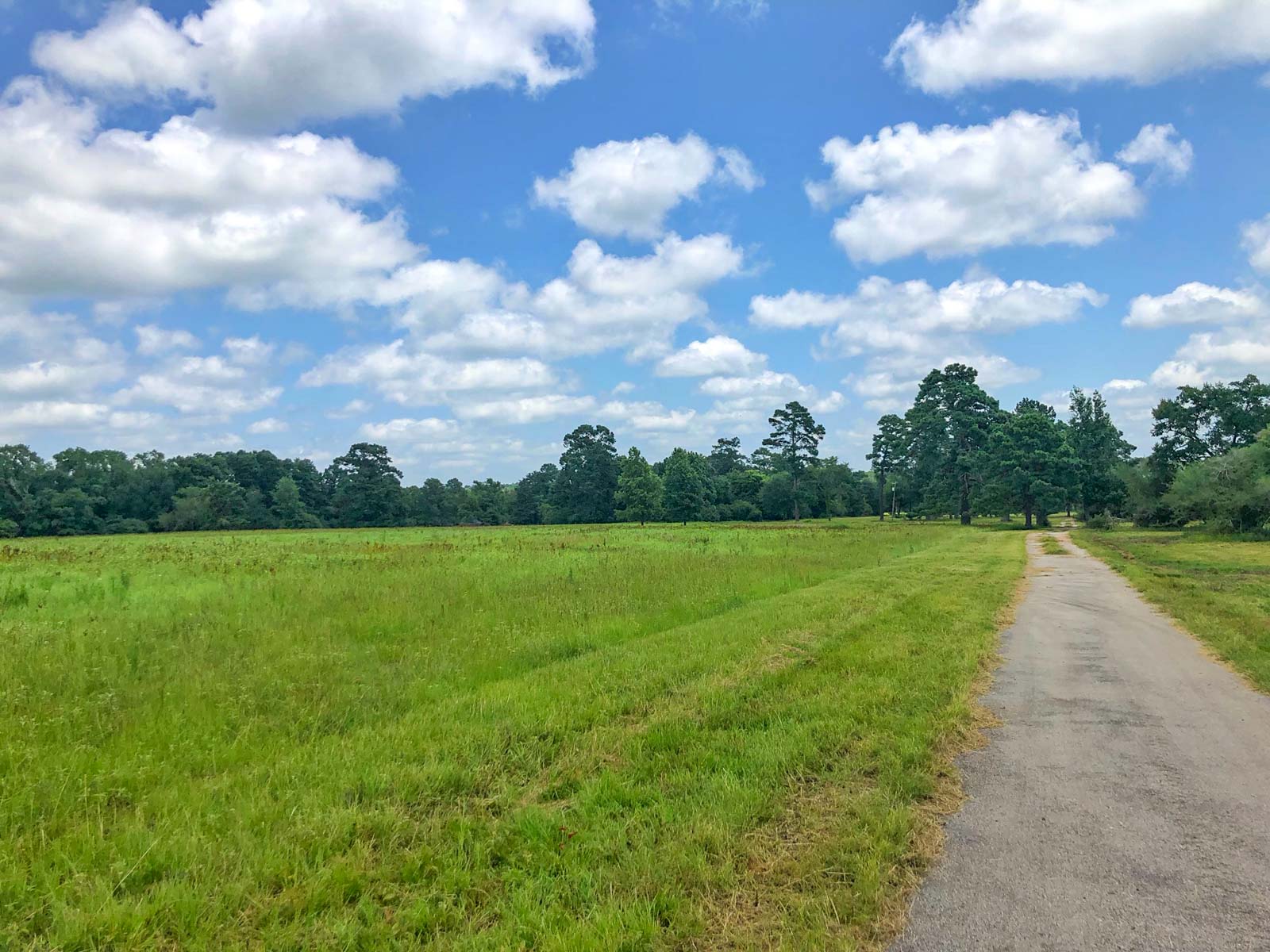 Spring Branch Ranch property picture 39 of 40