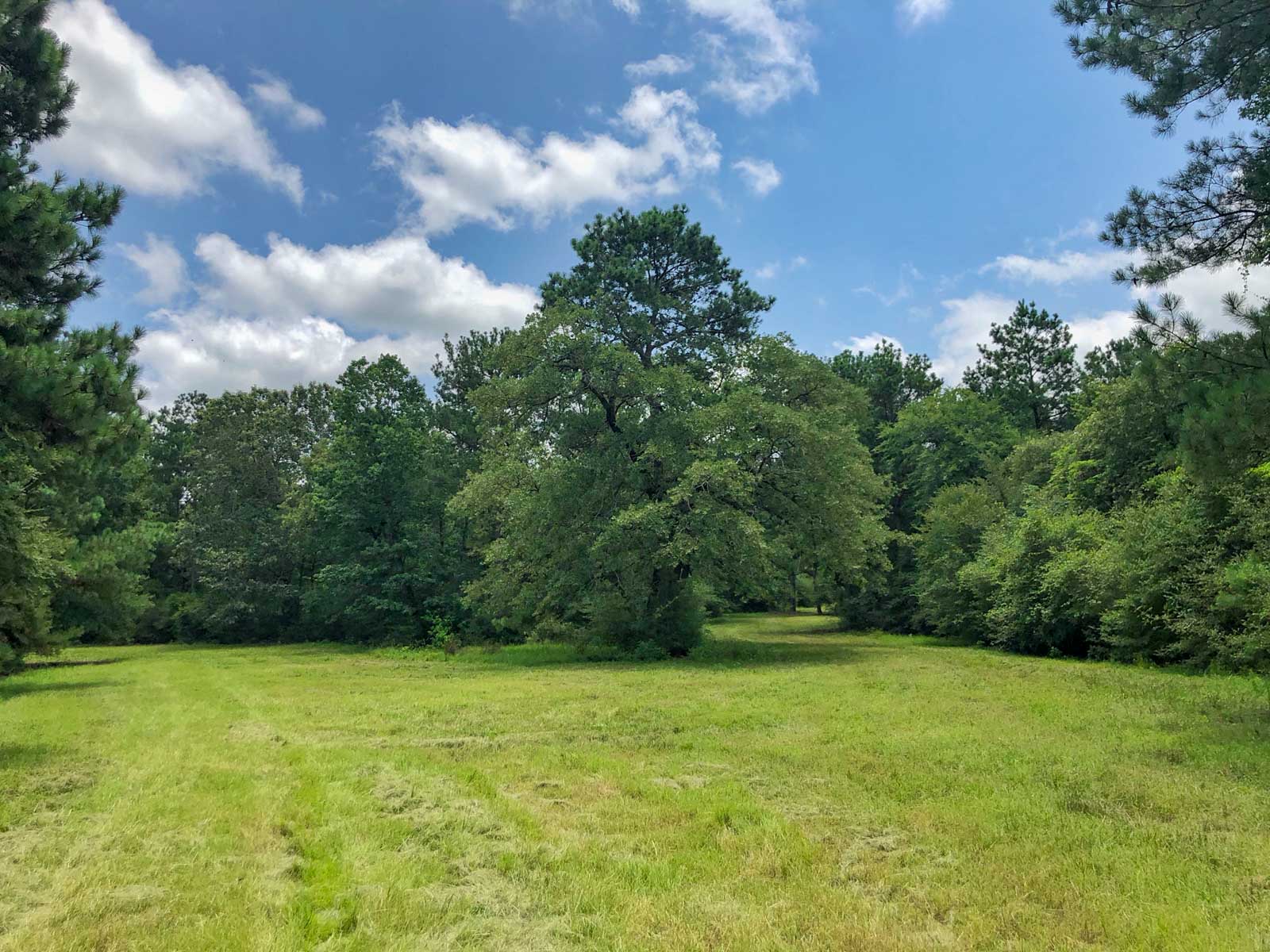 Spring Branch Ranch property picture 29 of 40