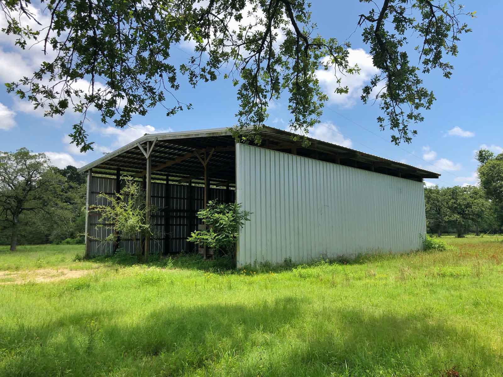 Spring Branch Ranch property picture 14 of 40