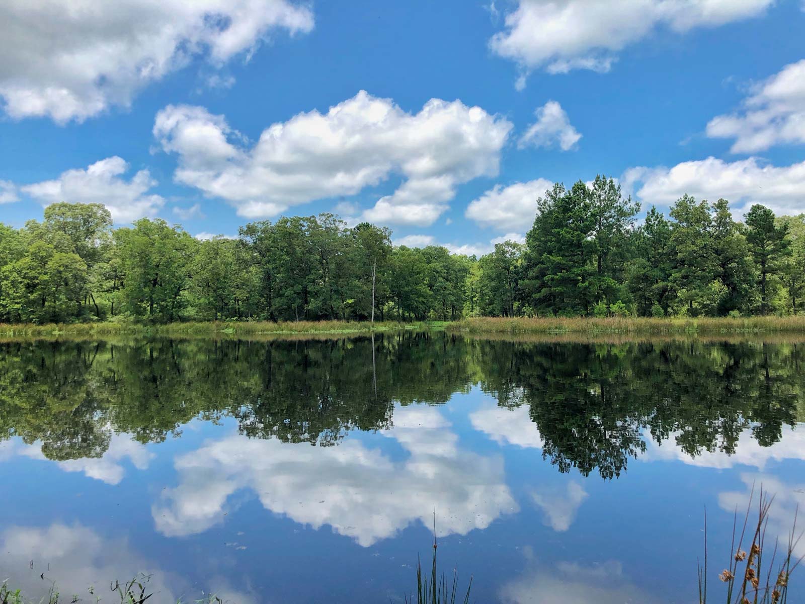 Spring Branch Ranch property picture 9 of 40