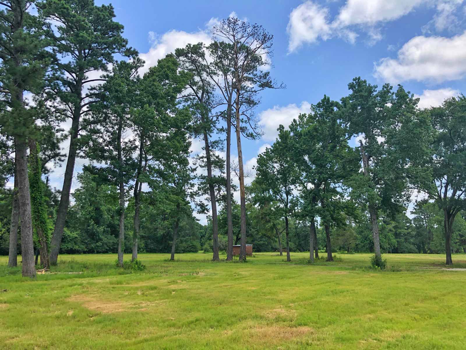 Spring Branch Ranch property picture 7 of 40