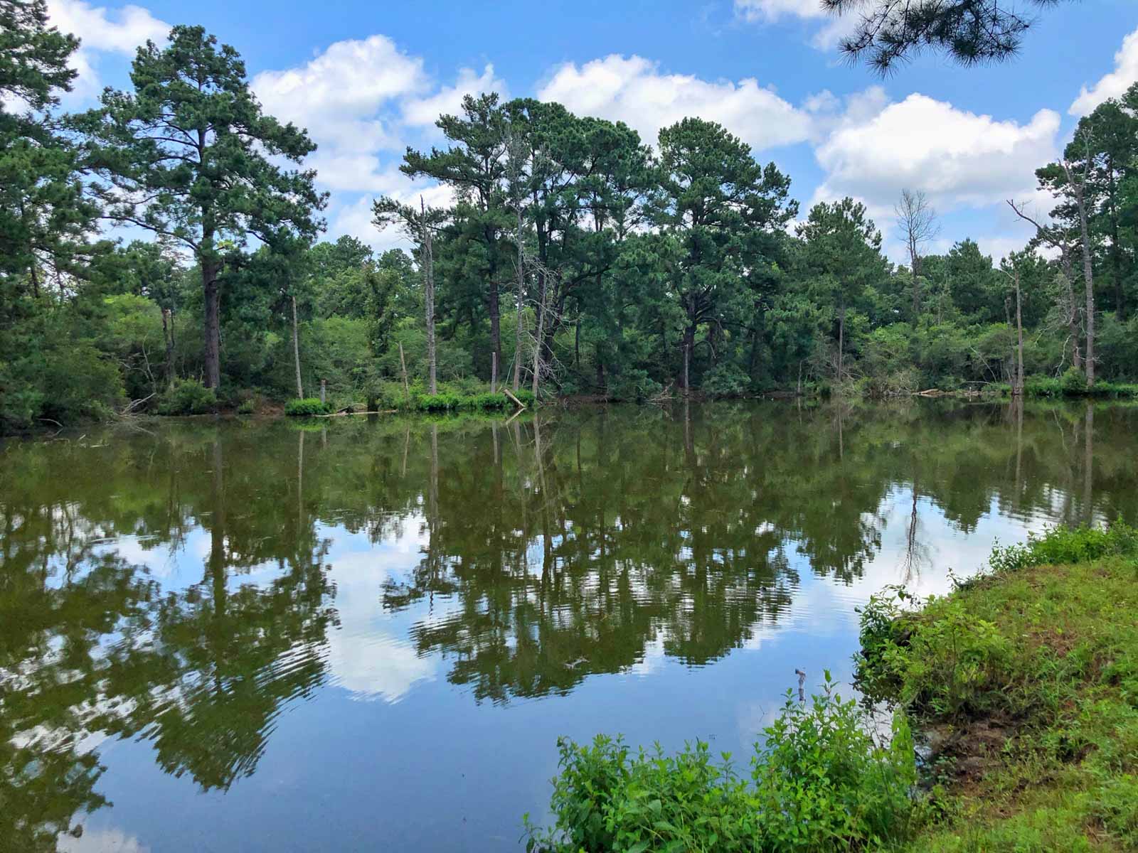 Spring Branch Ranch property picture 21 of 40