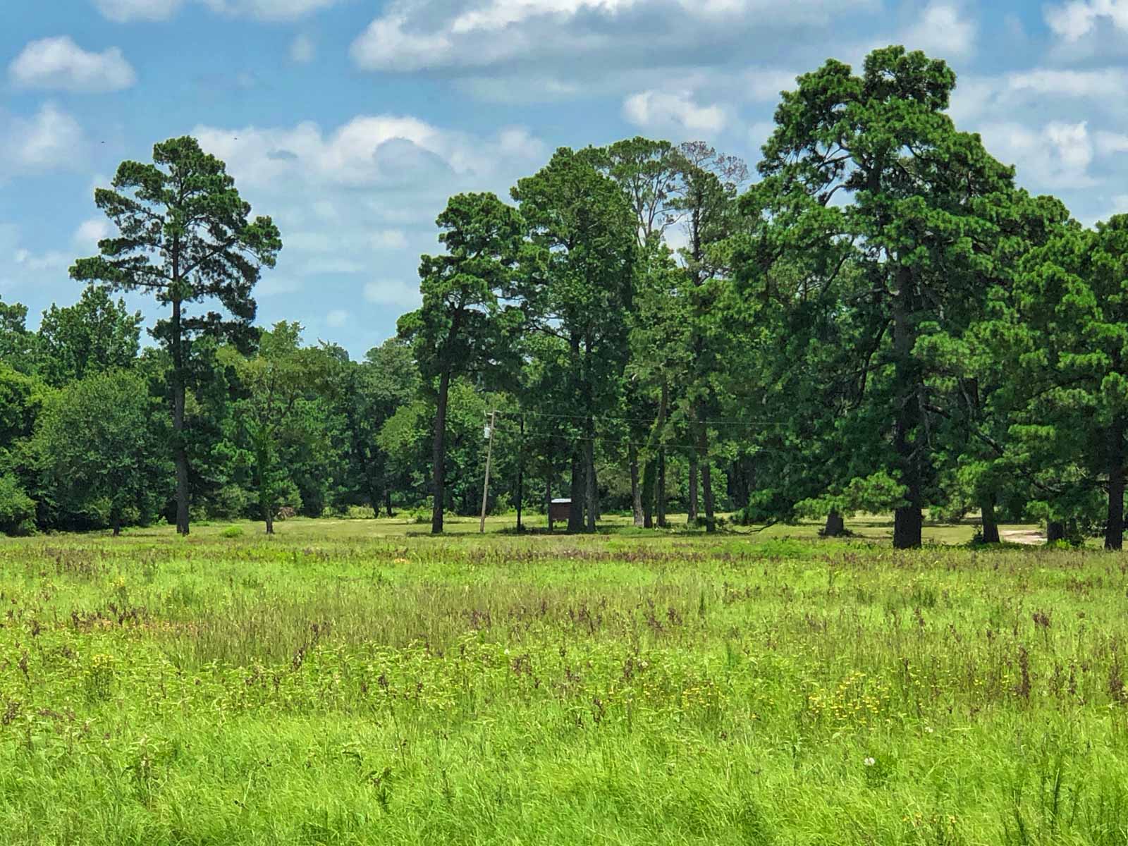 Spring Branch Ranch property picture 40 of 40