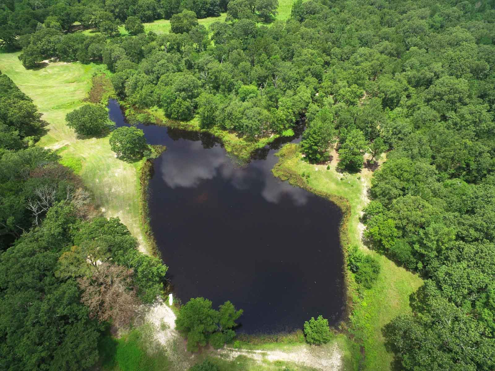 Spring Branch Ranch property picture 12 of 40