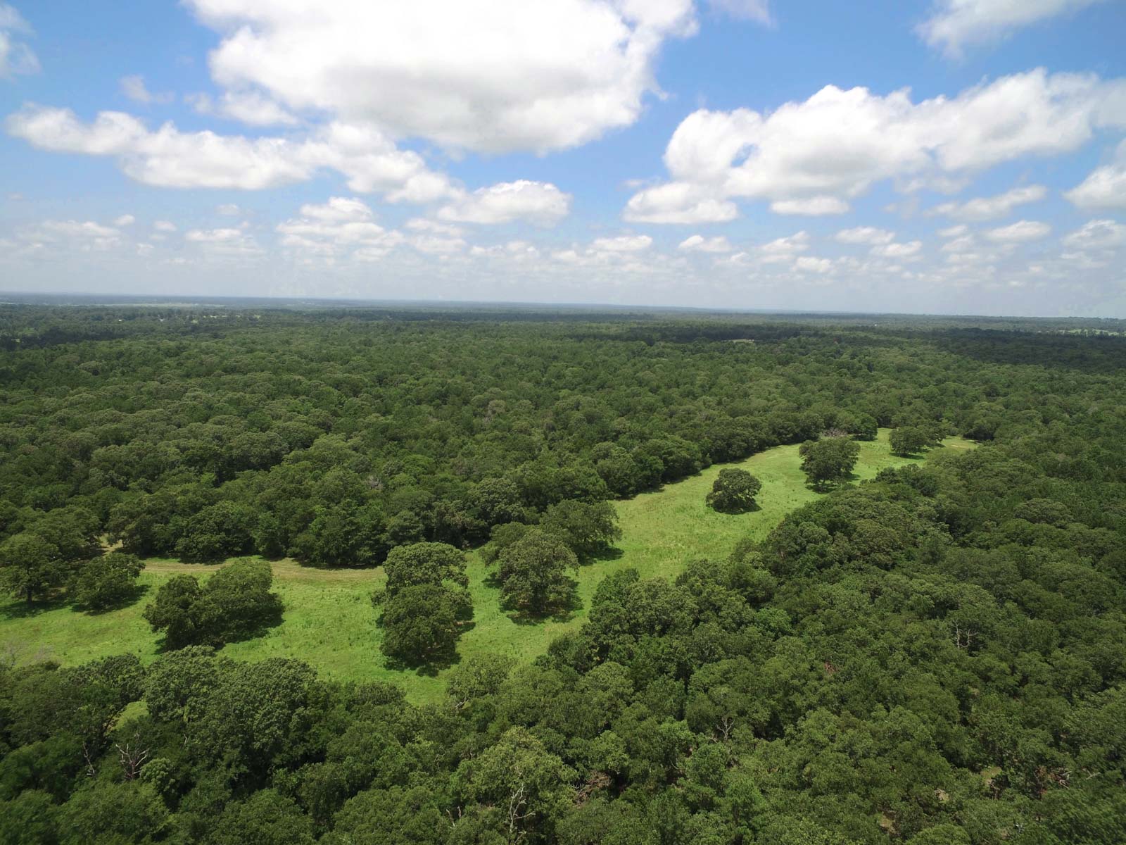 Spring Branch Ranch property picture 13 of 40