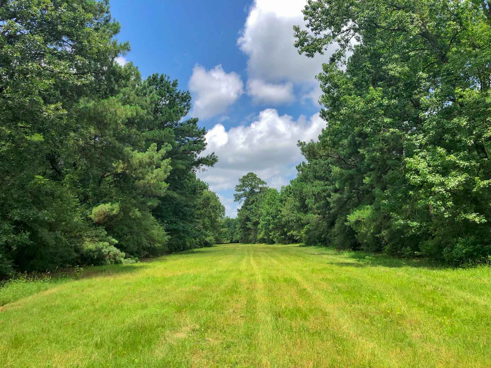 Spring Branch Ranch property picture 33 of 40