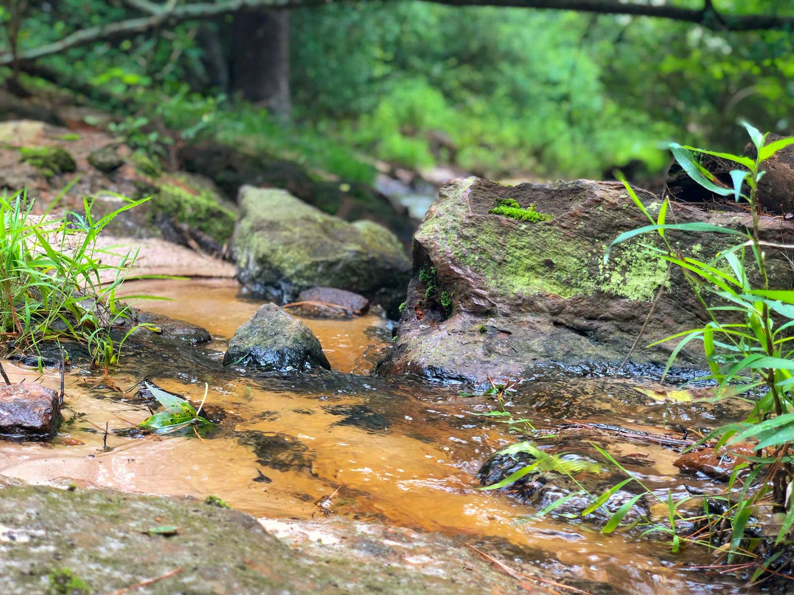 Spring Branch Ranch property picture 8 of 40