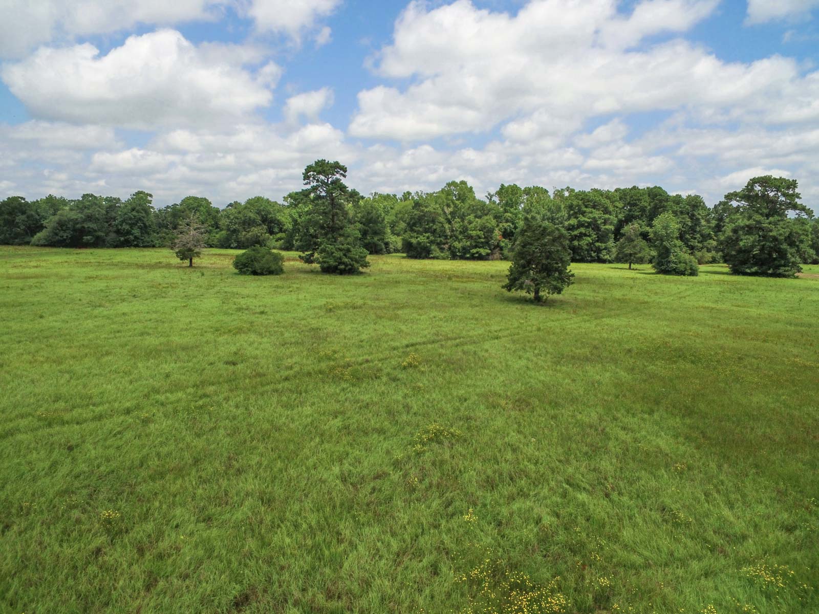 Spring Branch Ranch property picture 35 of 40