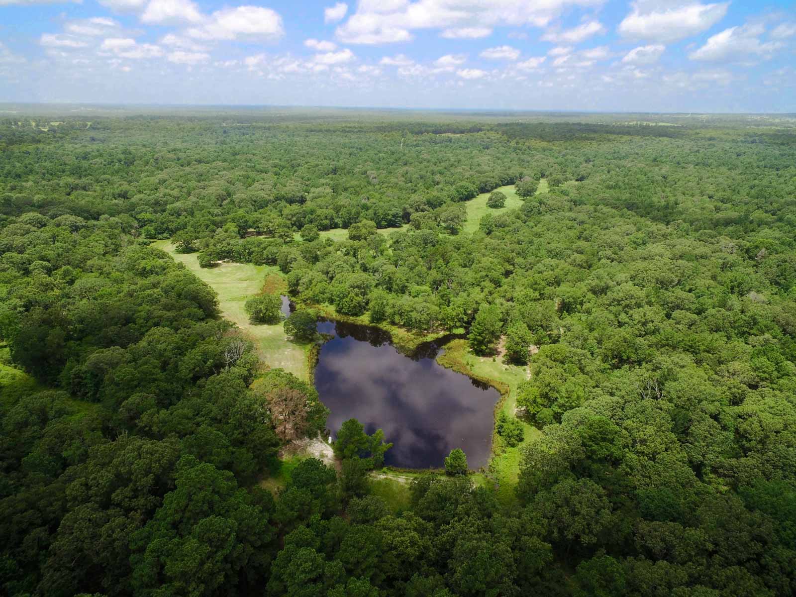 Spring Branch Ranch property picture 26 of 40