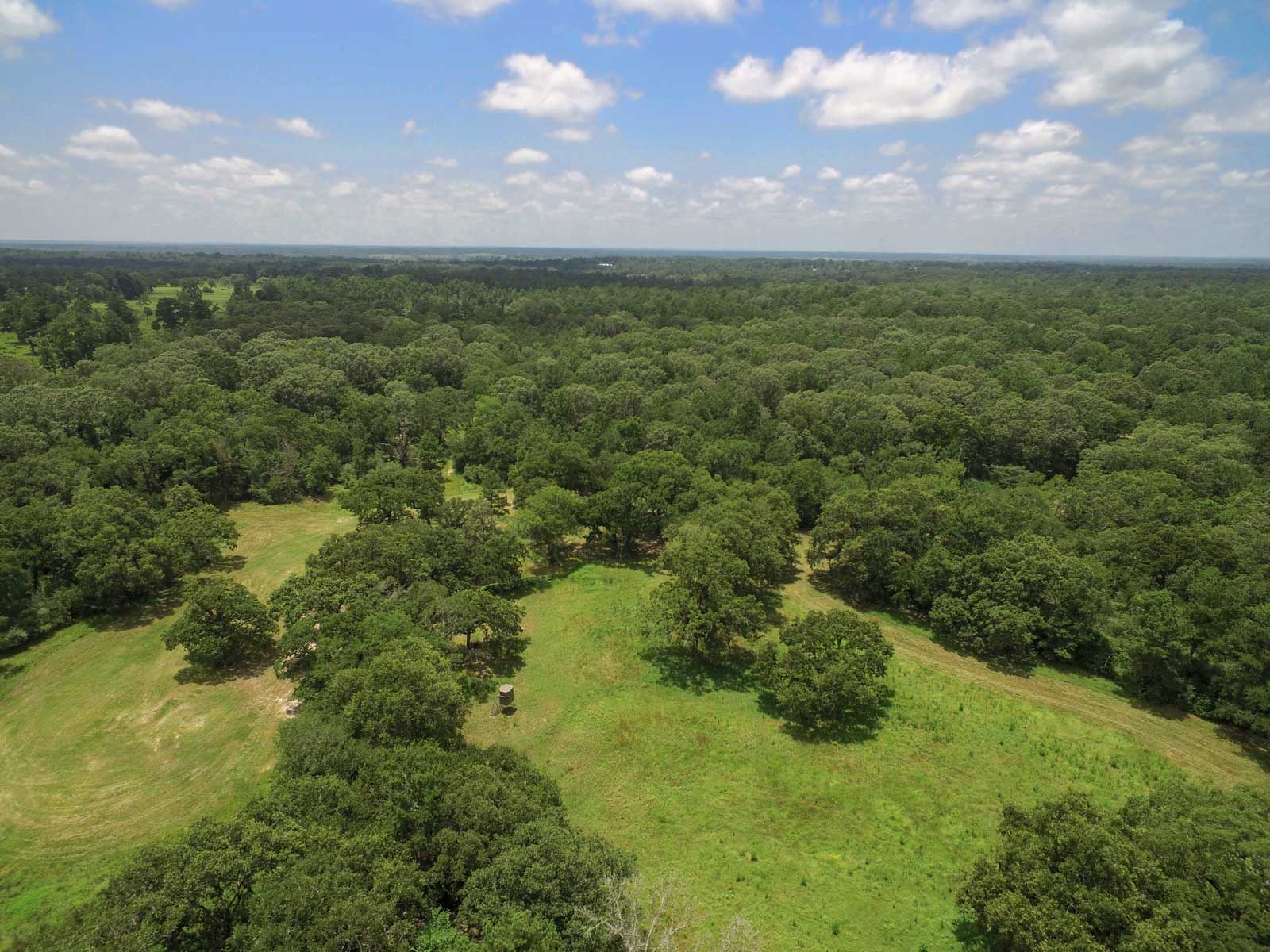 Spring Branch Ranch property picture 25 of 40