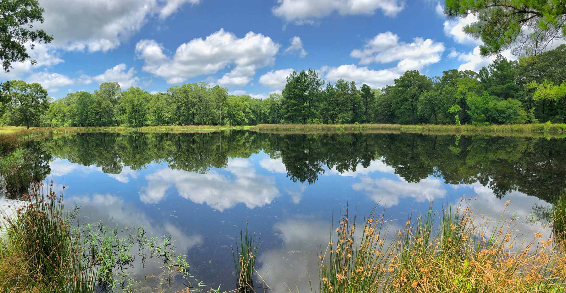 Spring Branch Ranch property picture 18 of 40