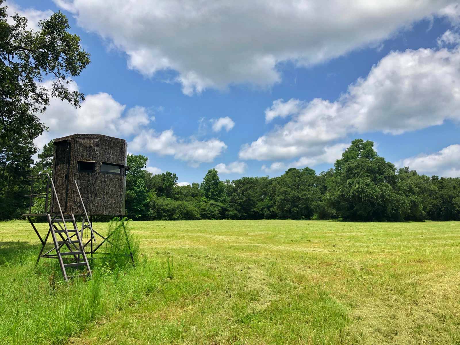 Spring Branch Ranch property picture 27 of 40
