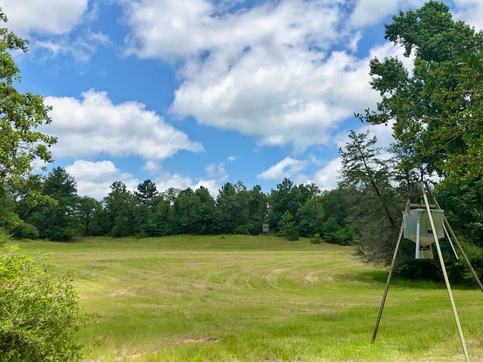 Spring Branch Ranch property picture 32 of 40