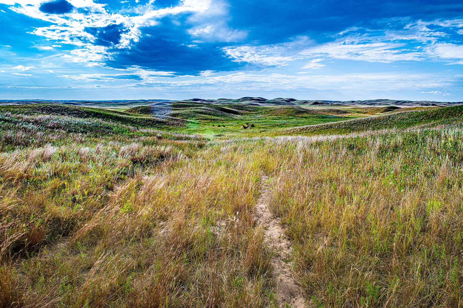 North Loup River Ranch property picture 60 of 99