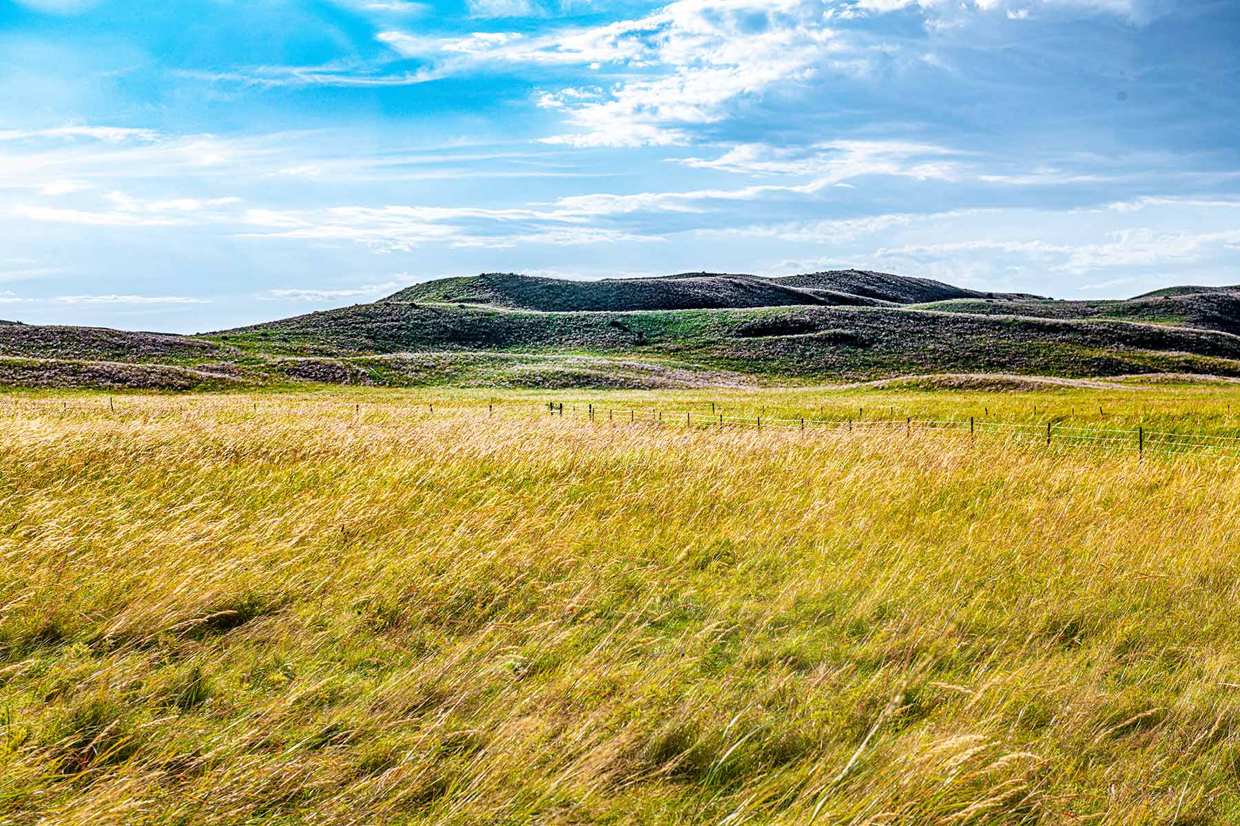 North Loup River Ranch property picture 64 of 99