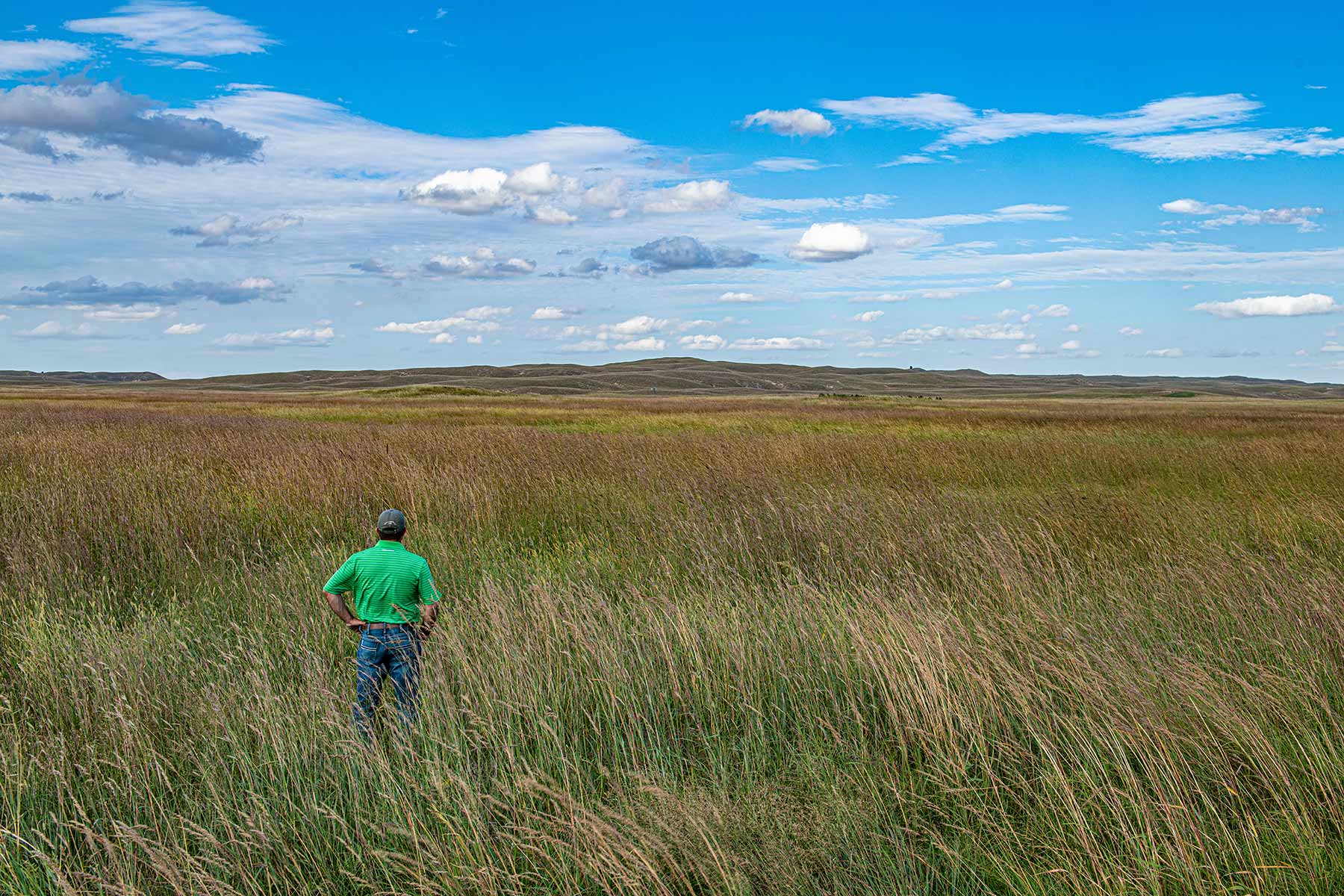 North Loup River Ranch property picture 55 of 99