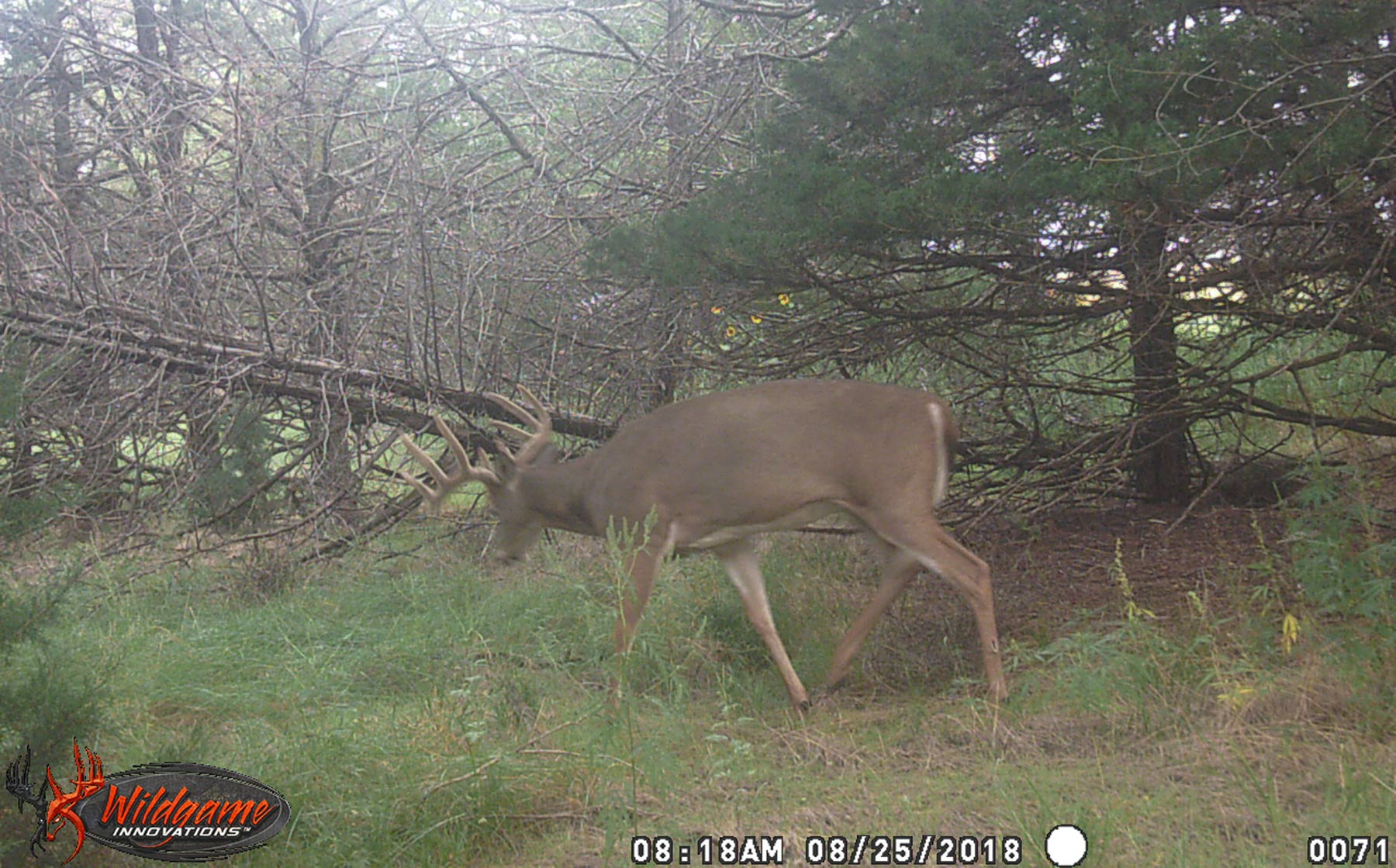North Loup River Ranch property picture 95 of 99