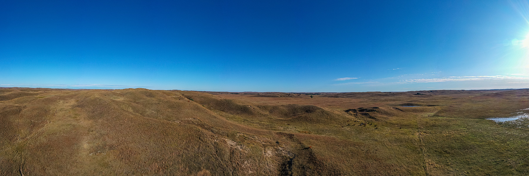 North Loup River Ranch property picture 23 of 99