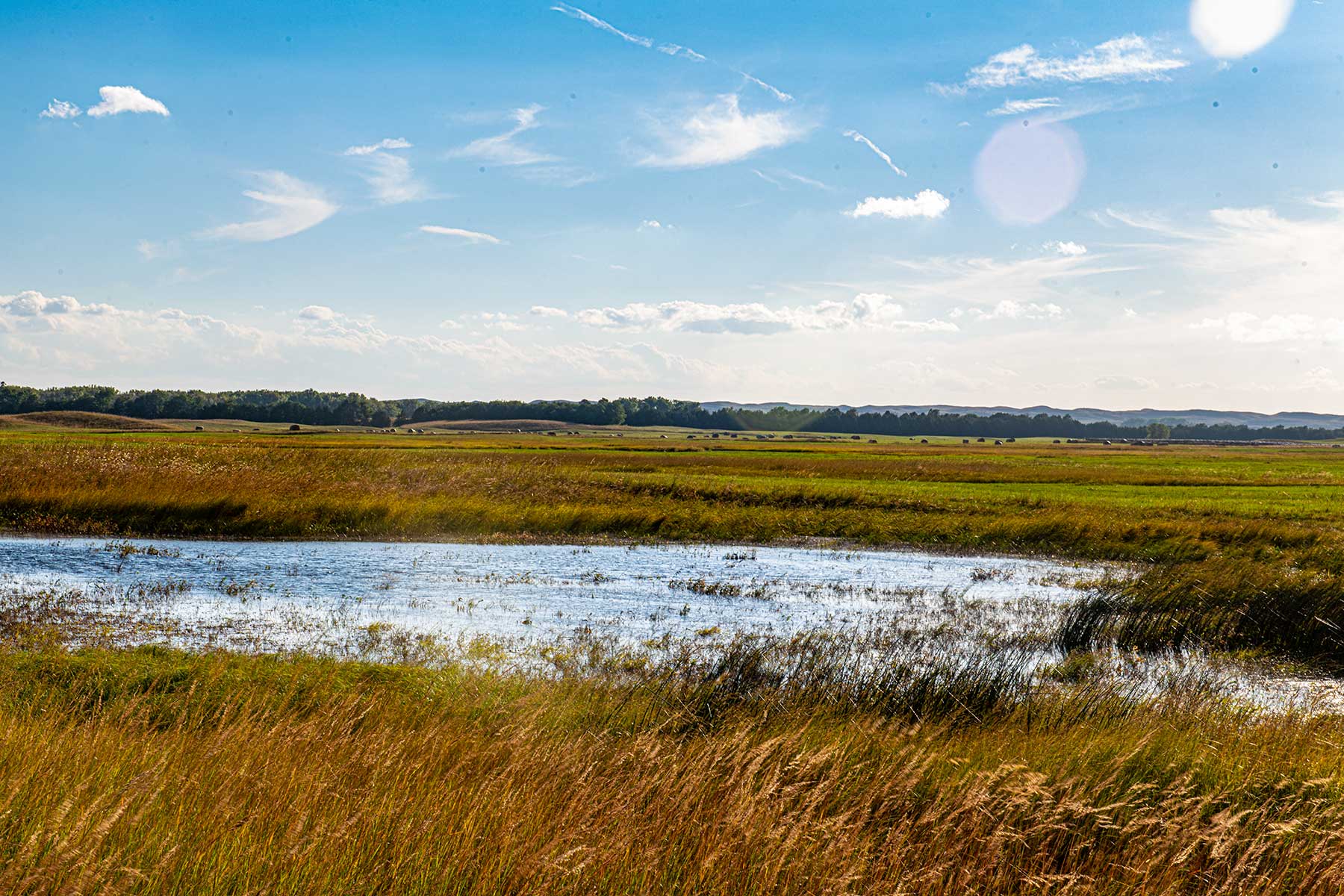 North Loup River Ranch property picture 70 of 99