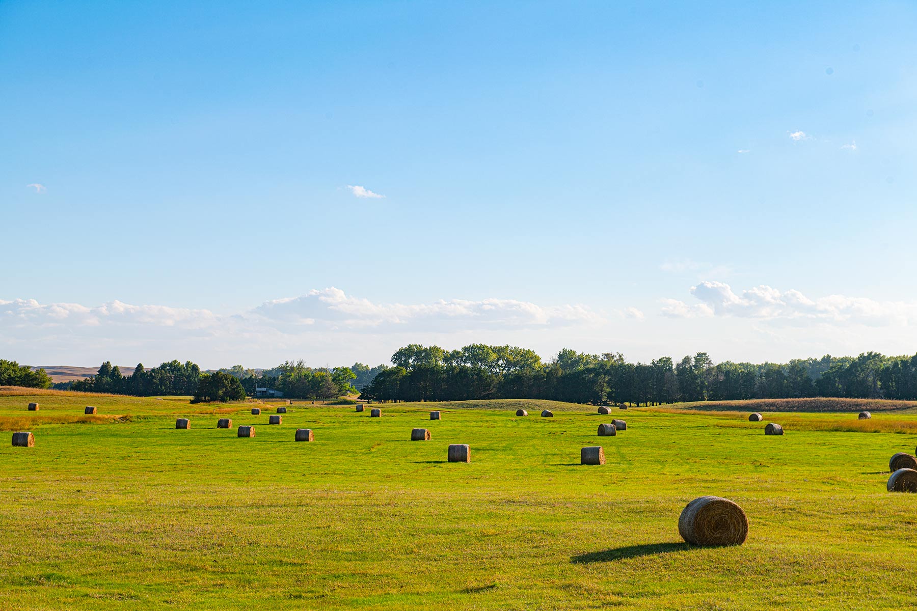 North Loup River Ranch property picture 73 of 99
