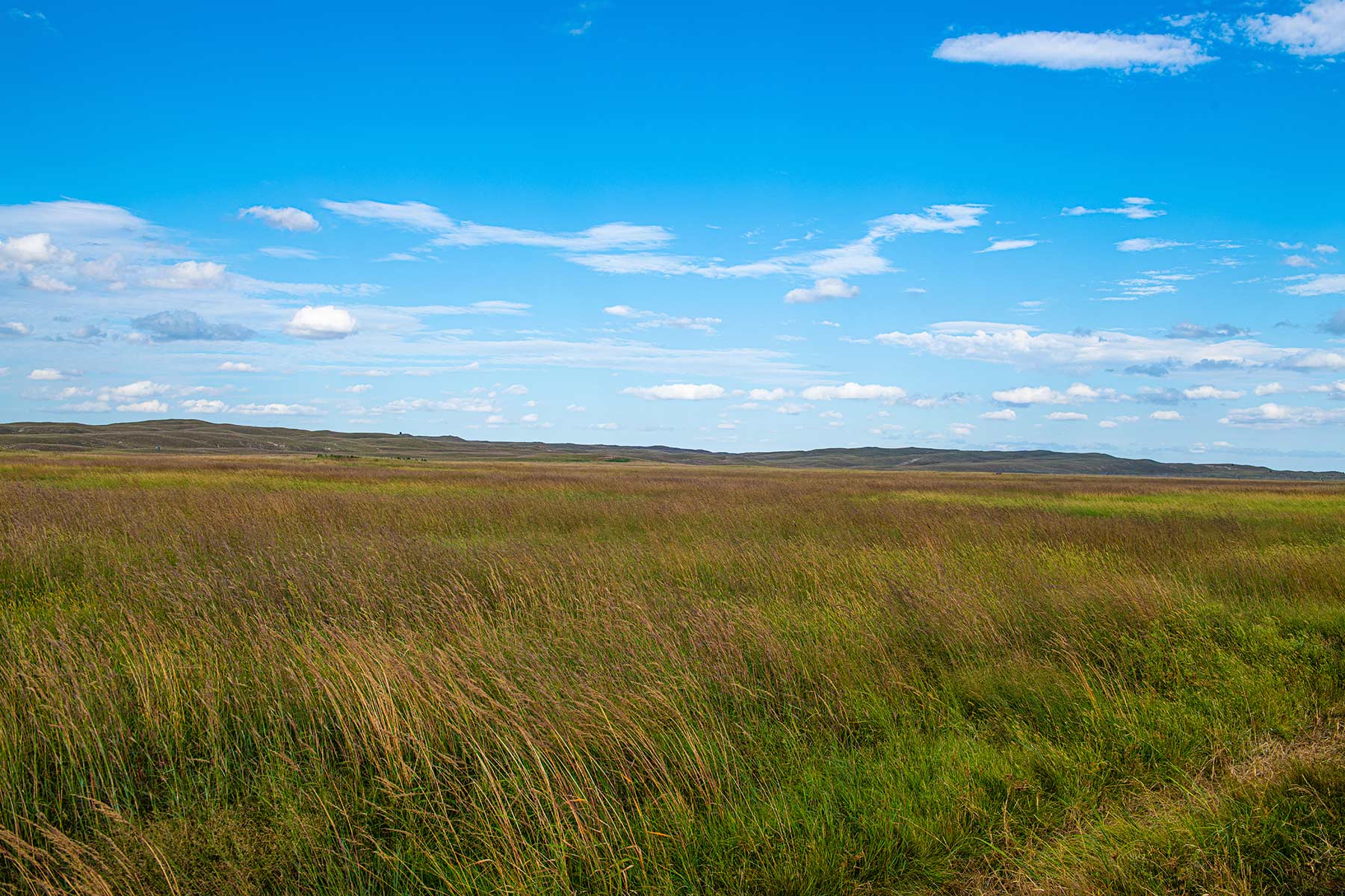 North Loup River Ranch property picture 56 of 99