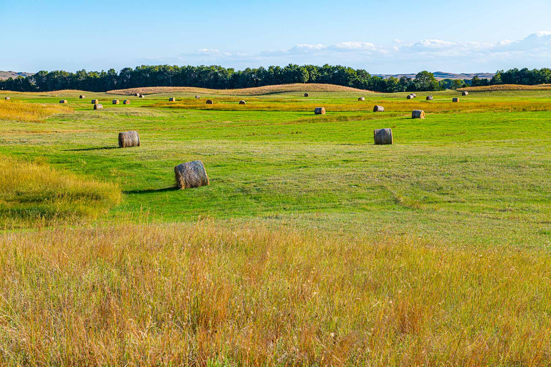 North Loup River Ranch property picture 74 of 99