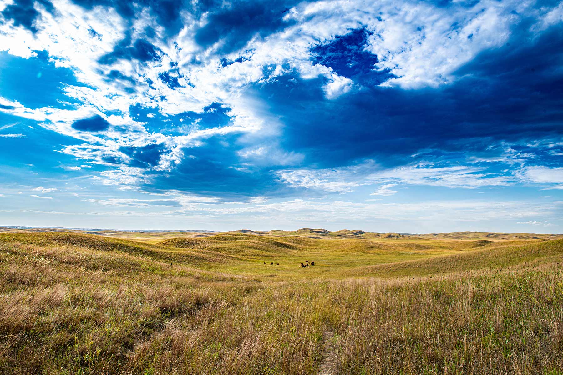 North Loup River Ranch property picture 59 of 99