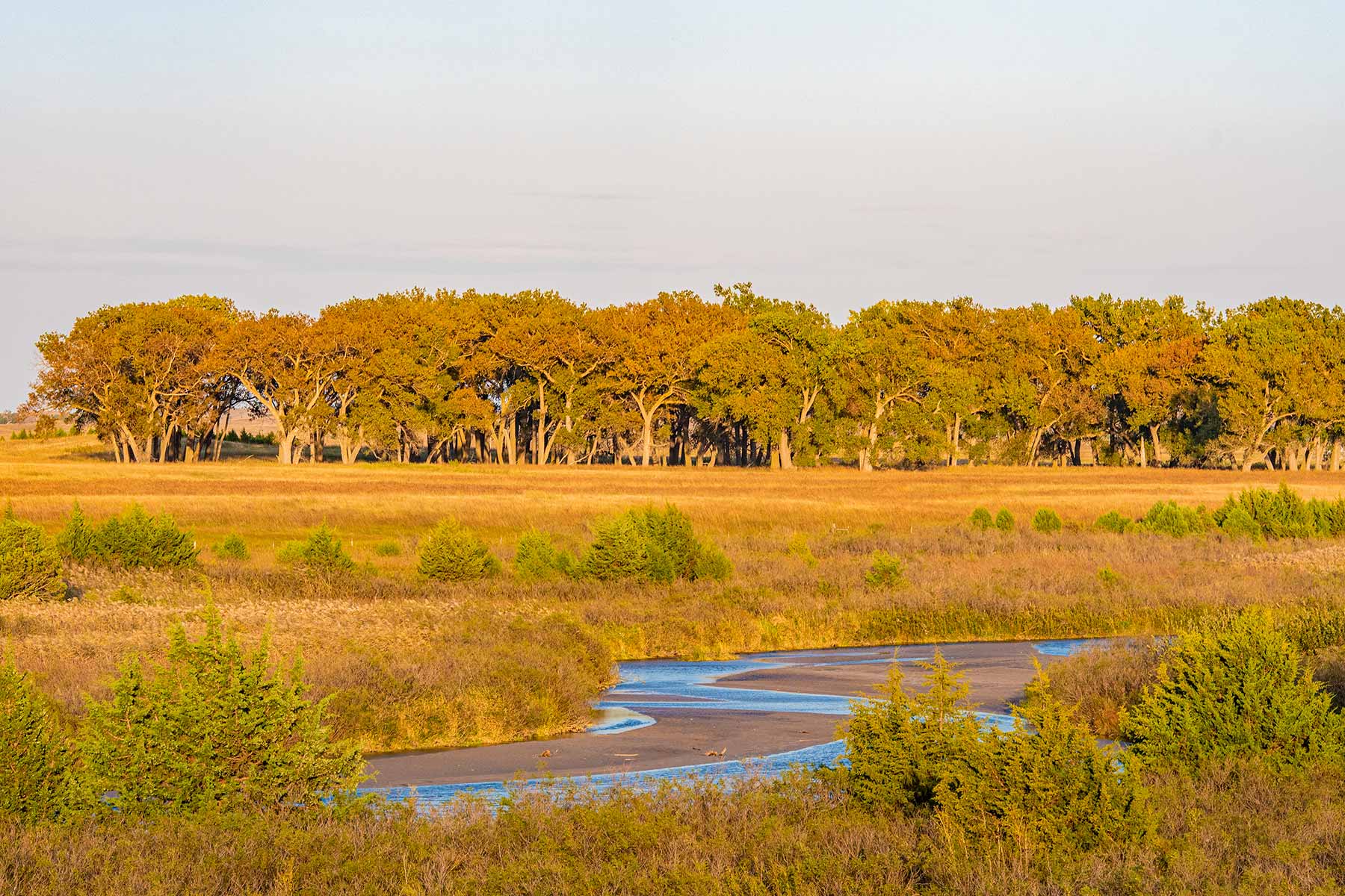 North Loup River Ranch property picture 18 of 99