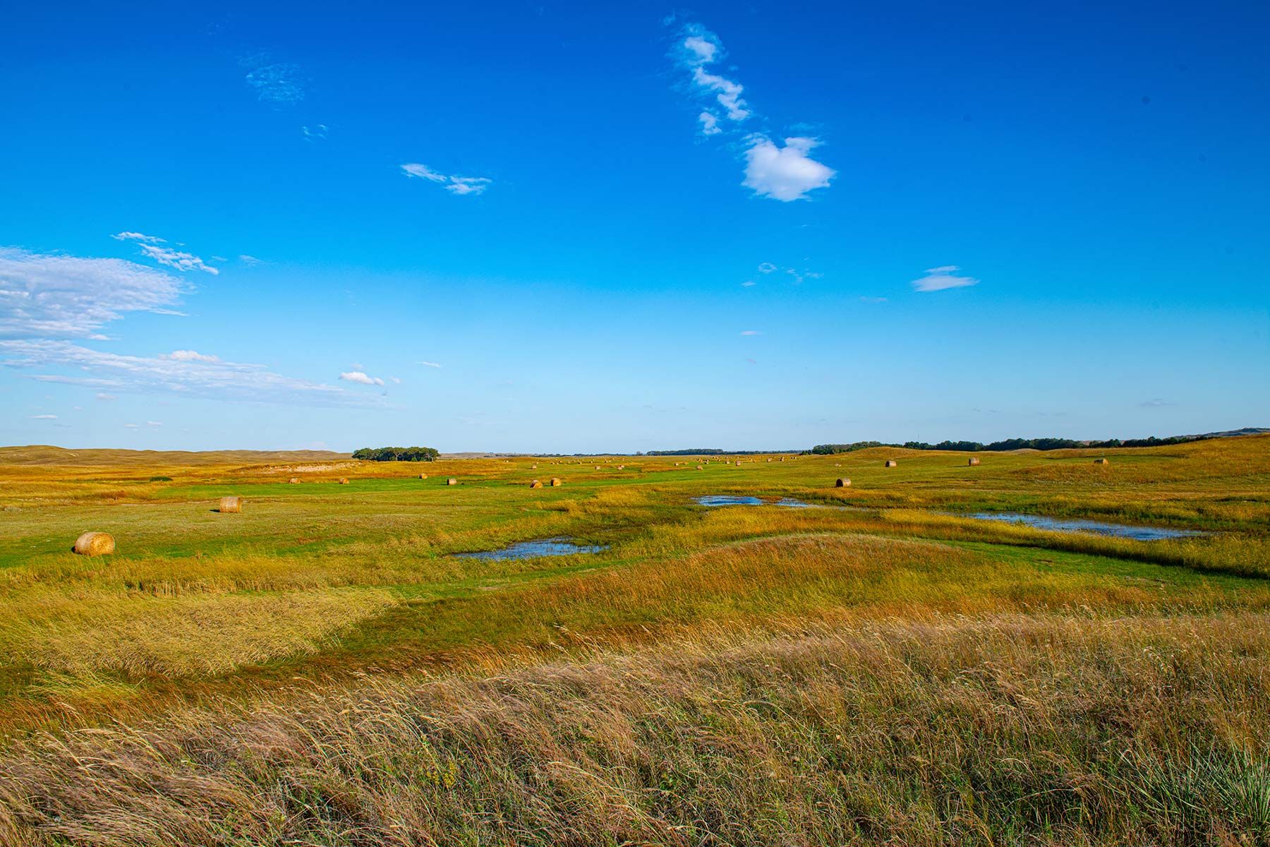 North Loup River Ranch property picture 71 of 99