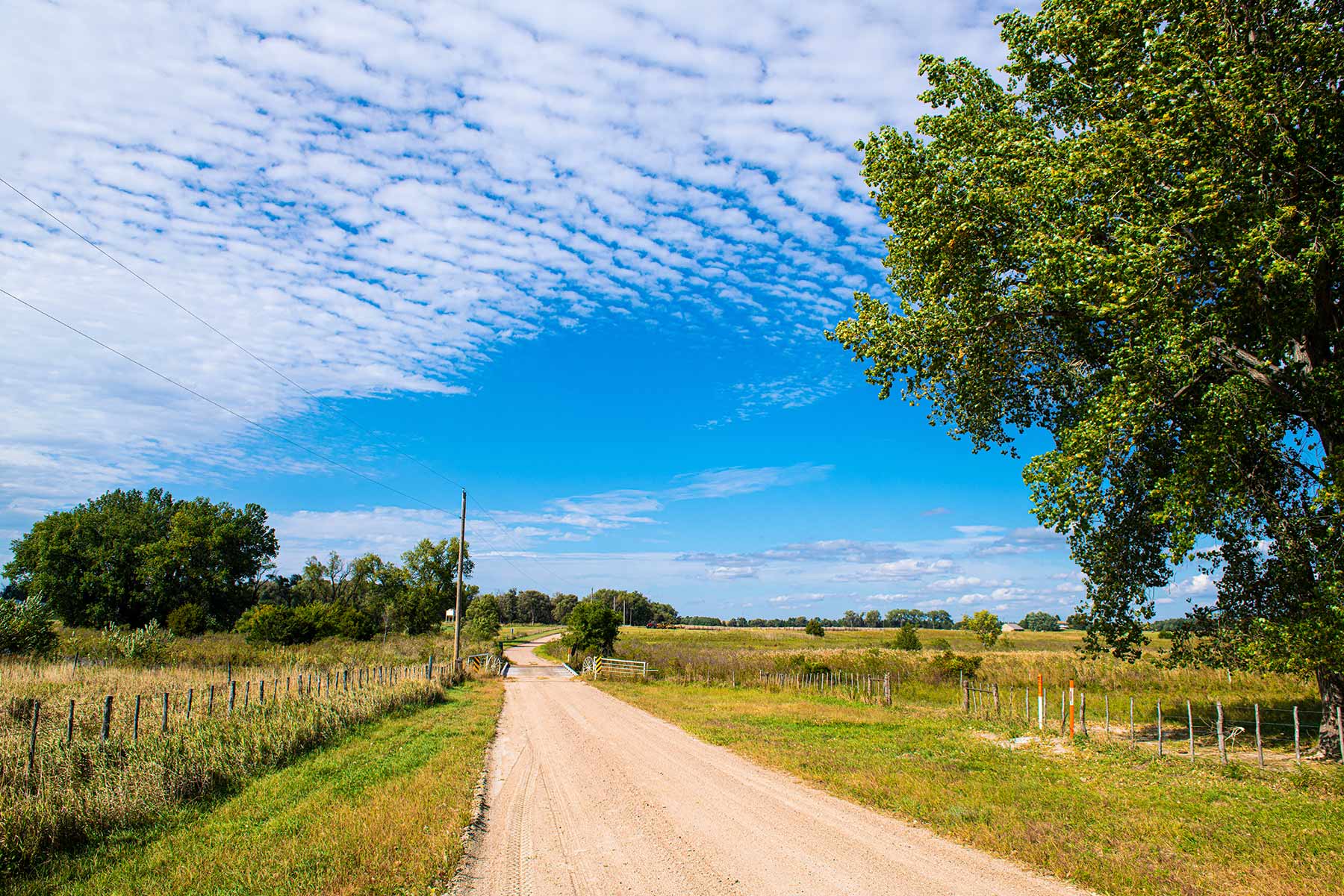 North Loup River Ranch property picture 49 of 99
