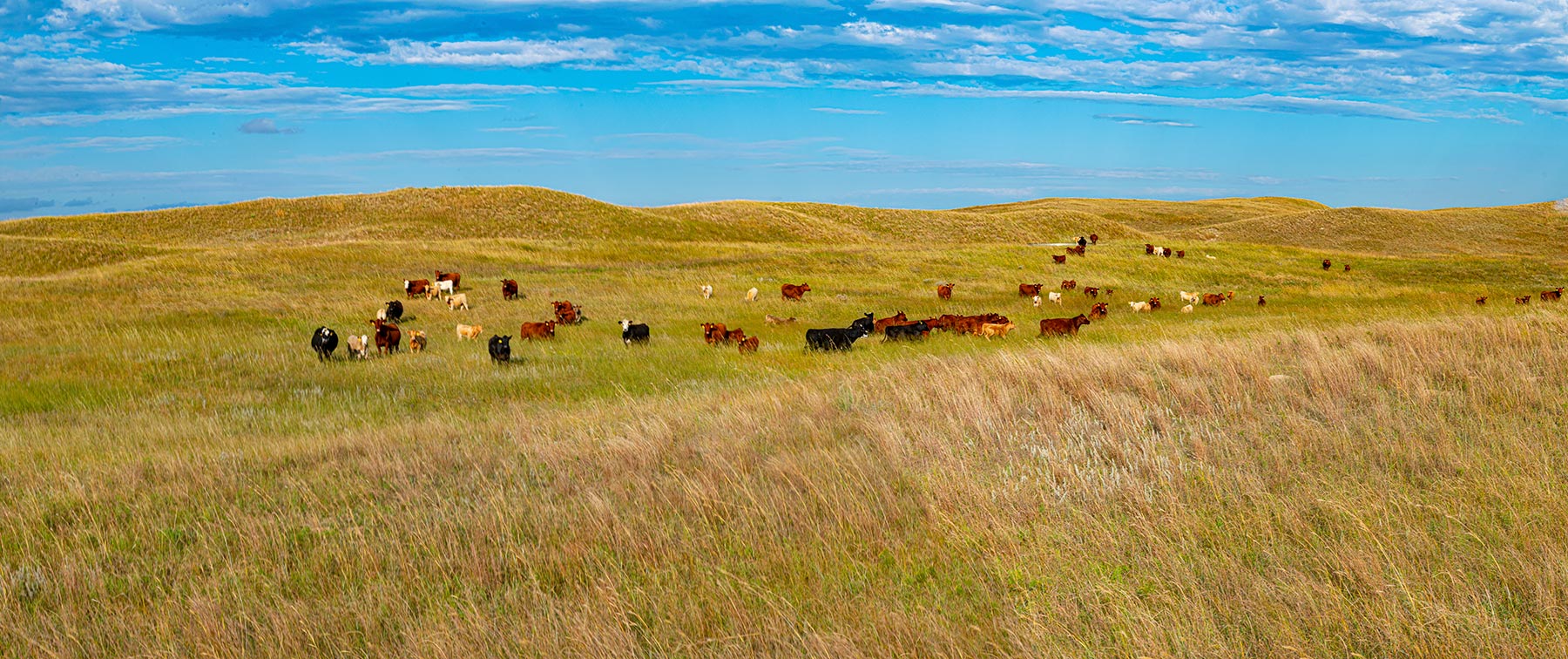 North Loup River Ranch property picture 4 of 99