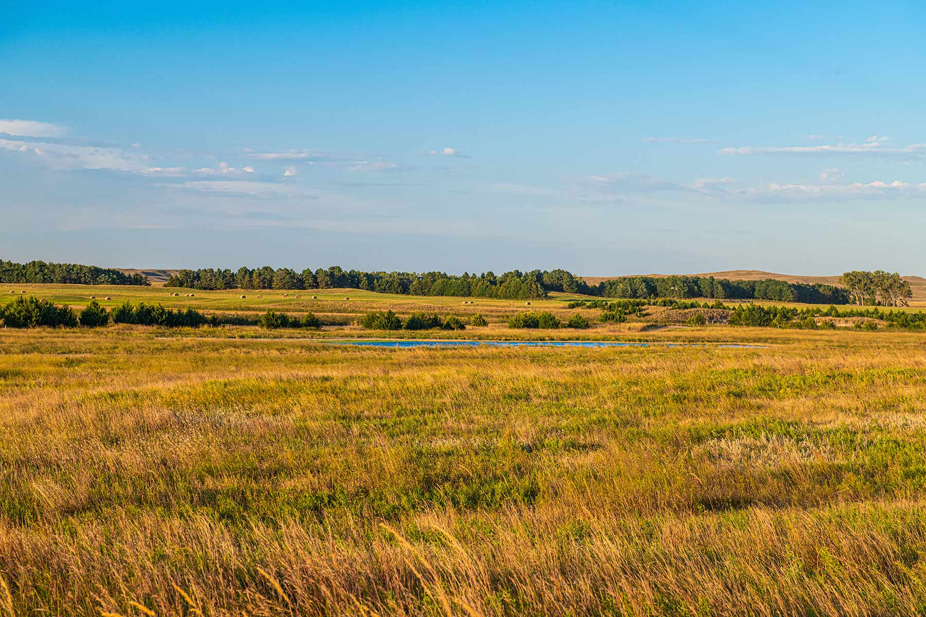 North Loup River Ranch property picture 80 of 99