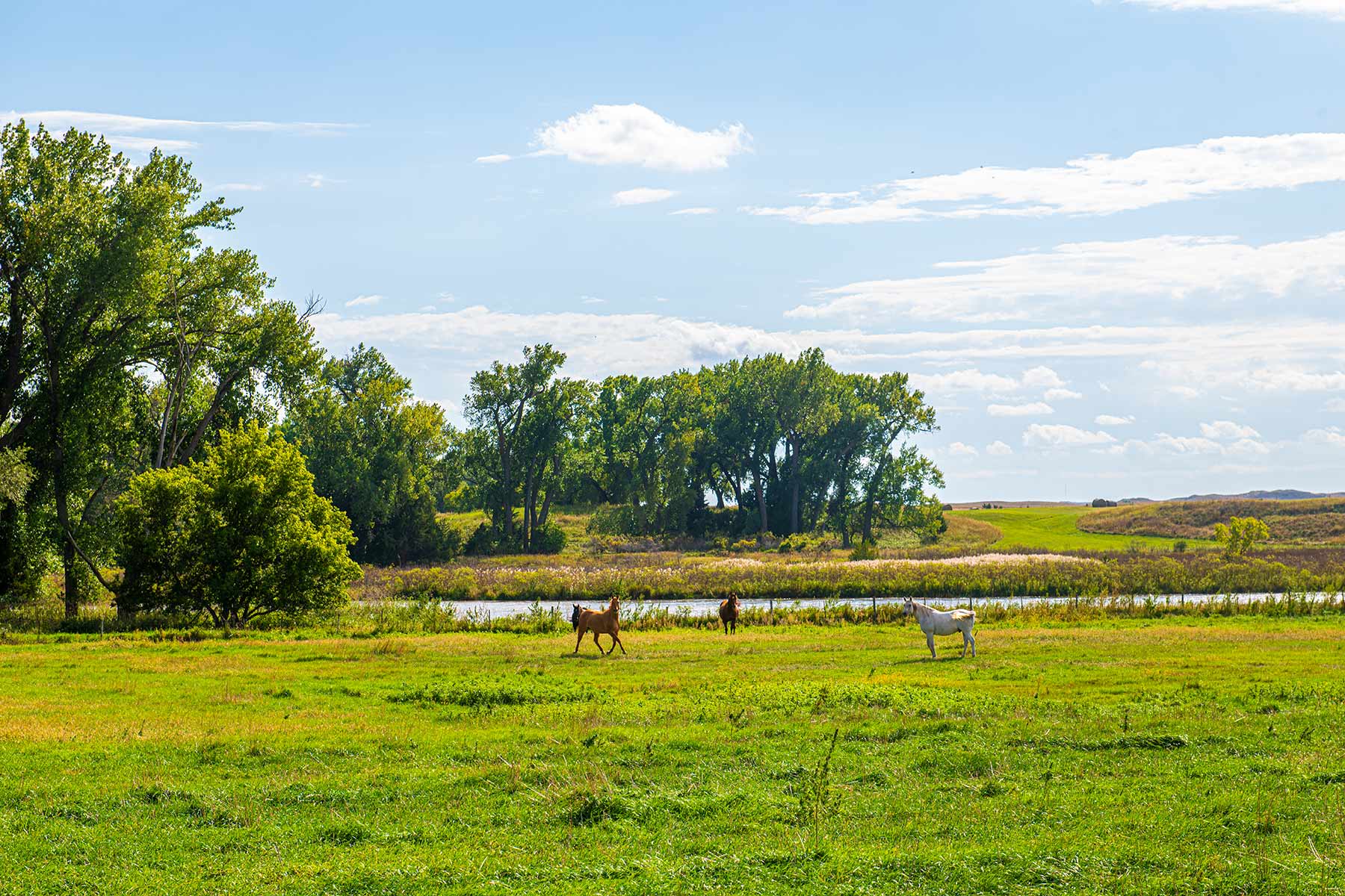 North Loup River Ranch Sold Nebraska Hall and Hall