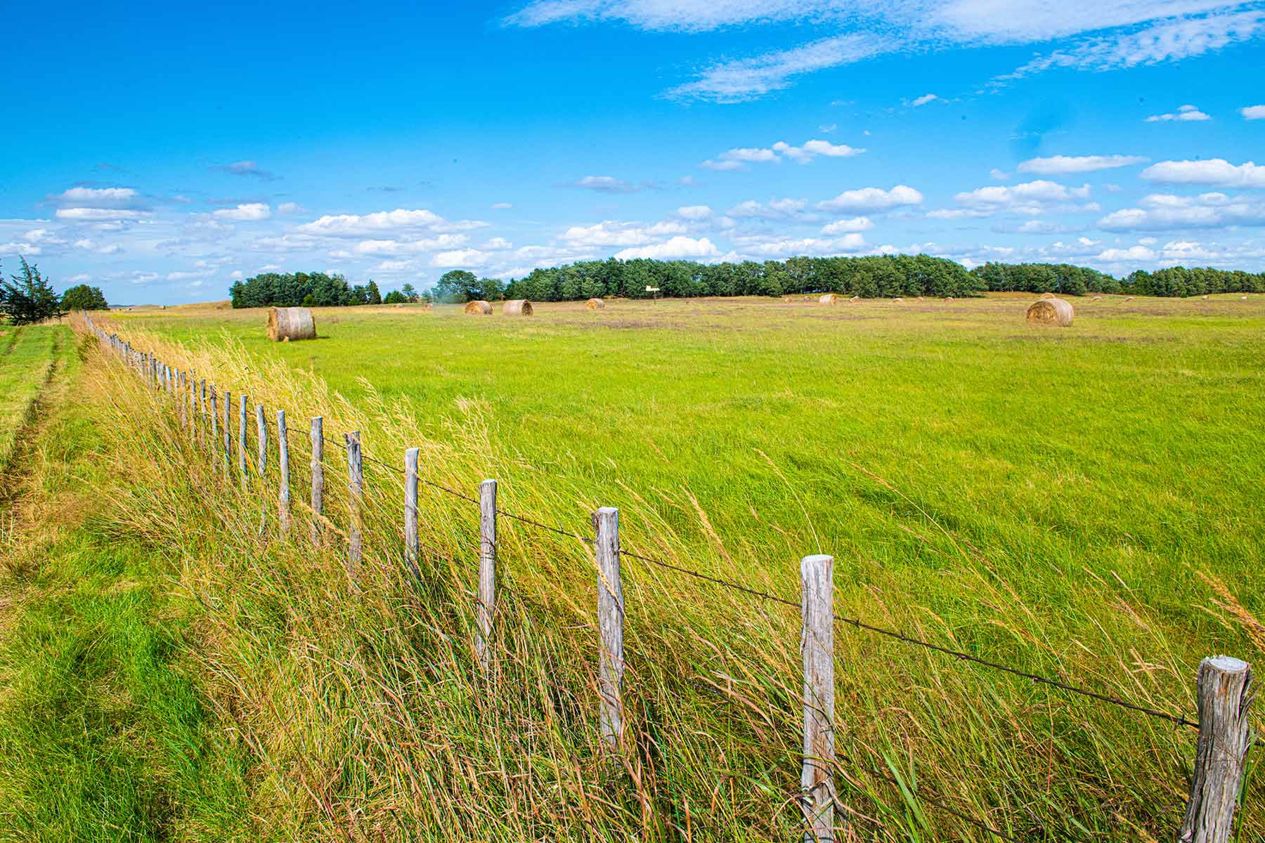 North Loup River Ranch property picture 43 of 99