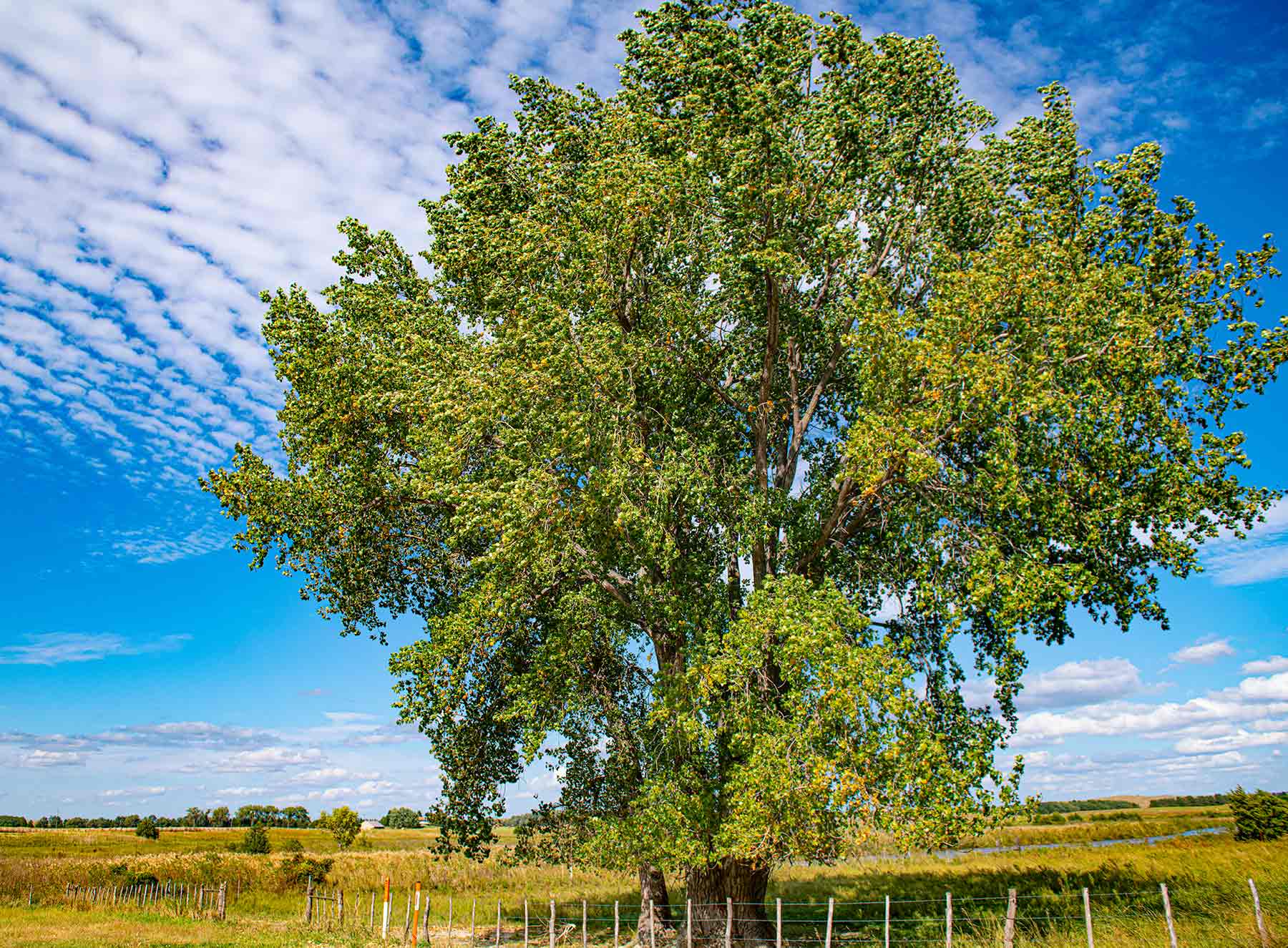 North Loup River Ranch property picture 48 of 99