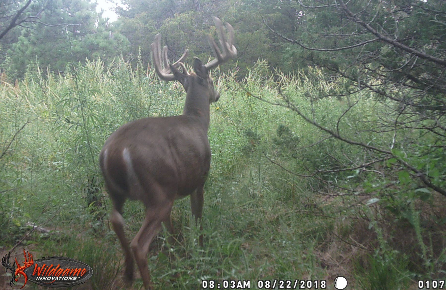 North Loup River Ranch property picture 96 of 99