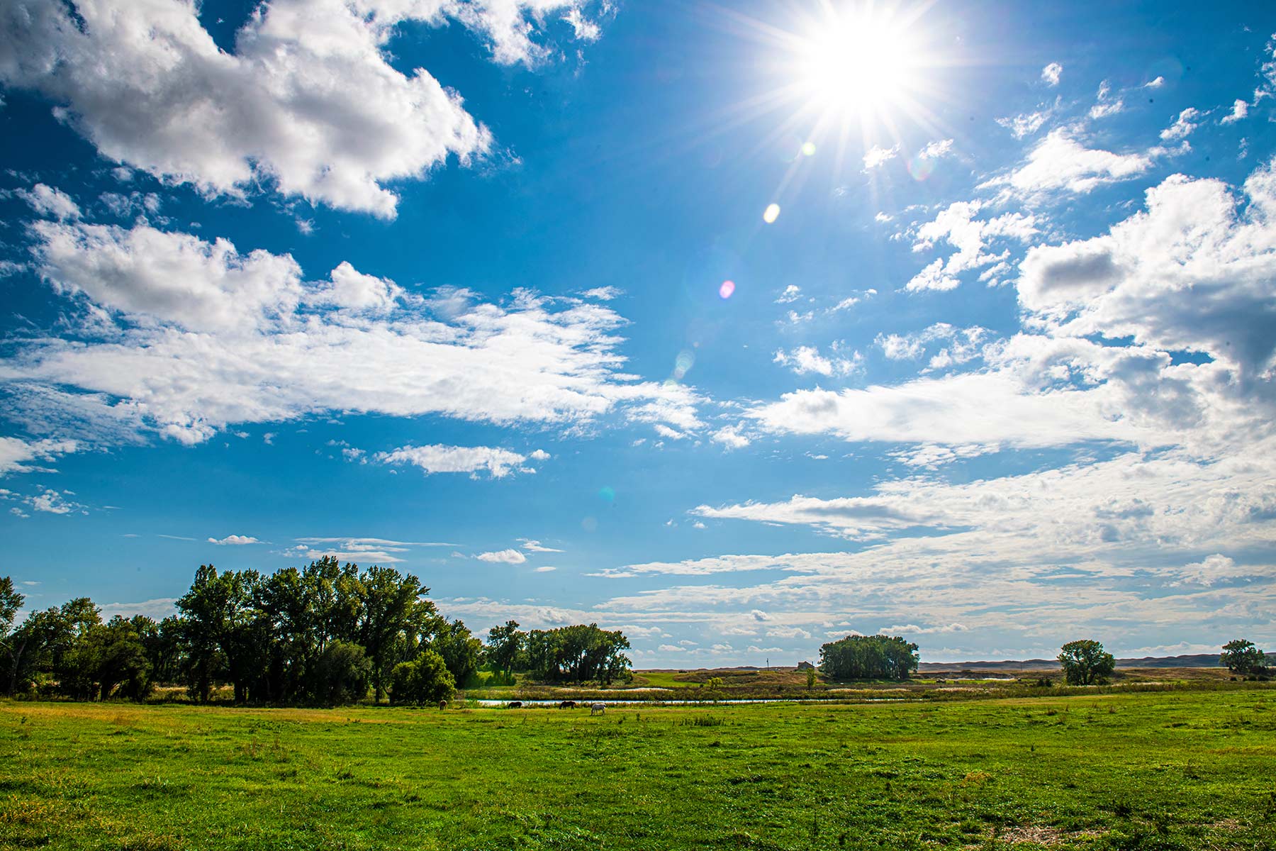 North Loup River Ranch property picture 51 of 99