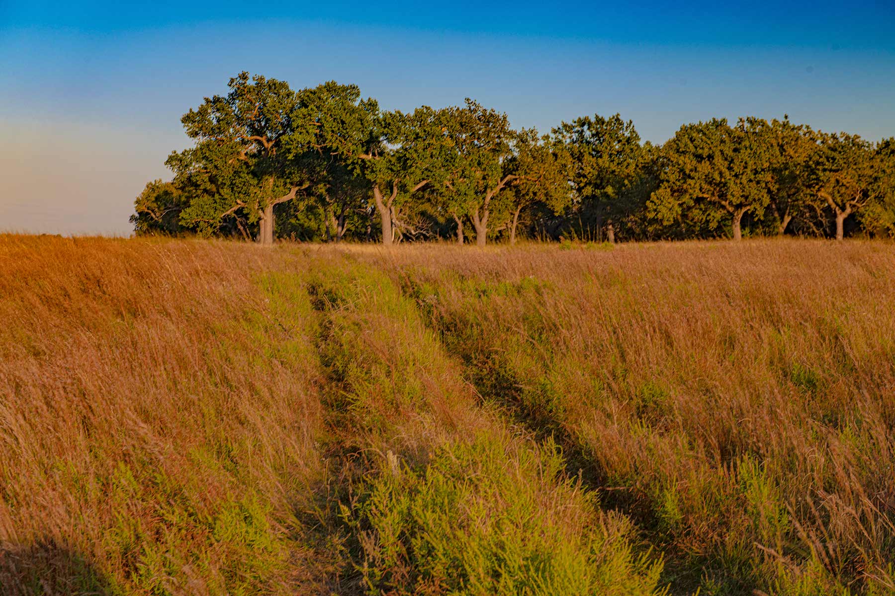 North Loup River Ranch property picture 81 of 99