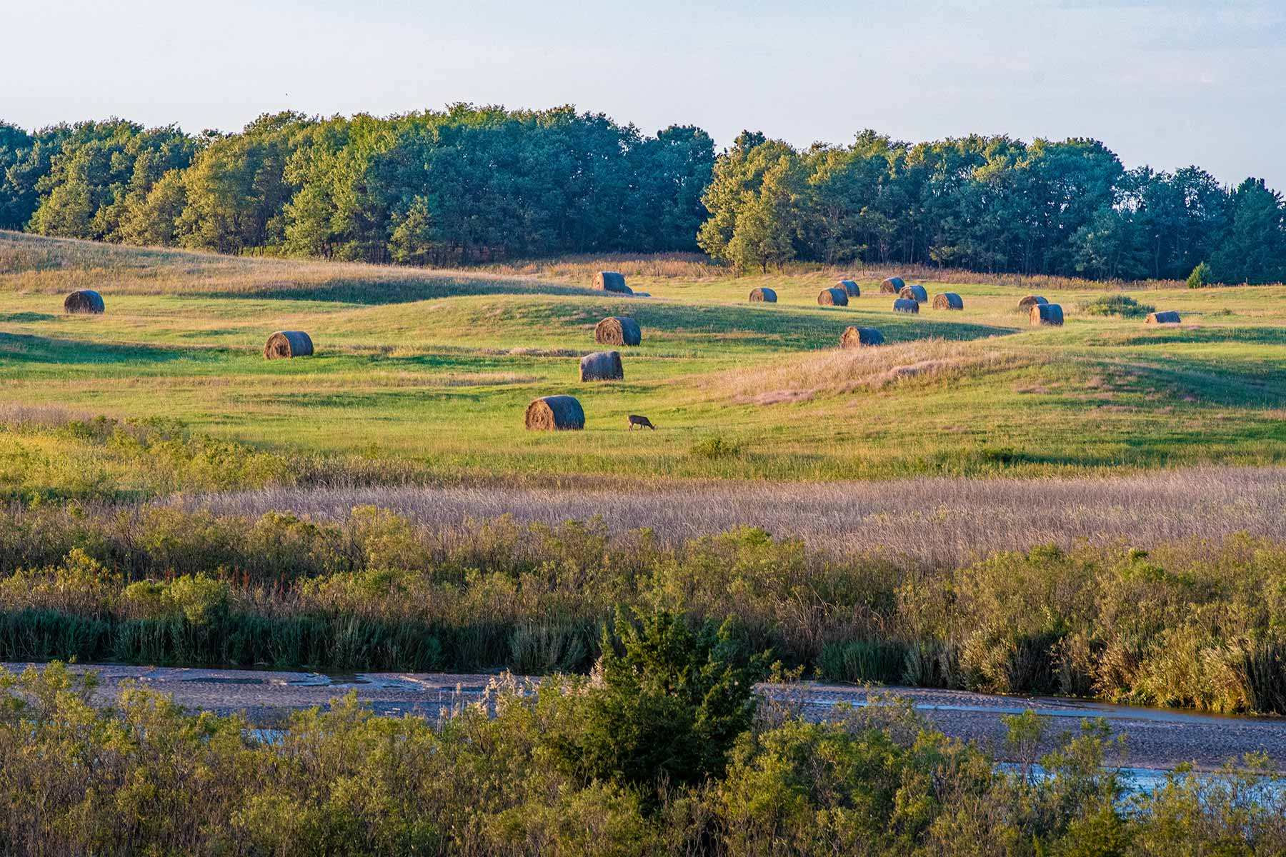 North Loup River Ranch property picture 19 of 99