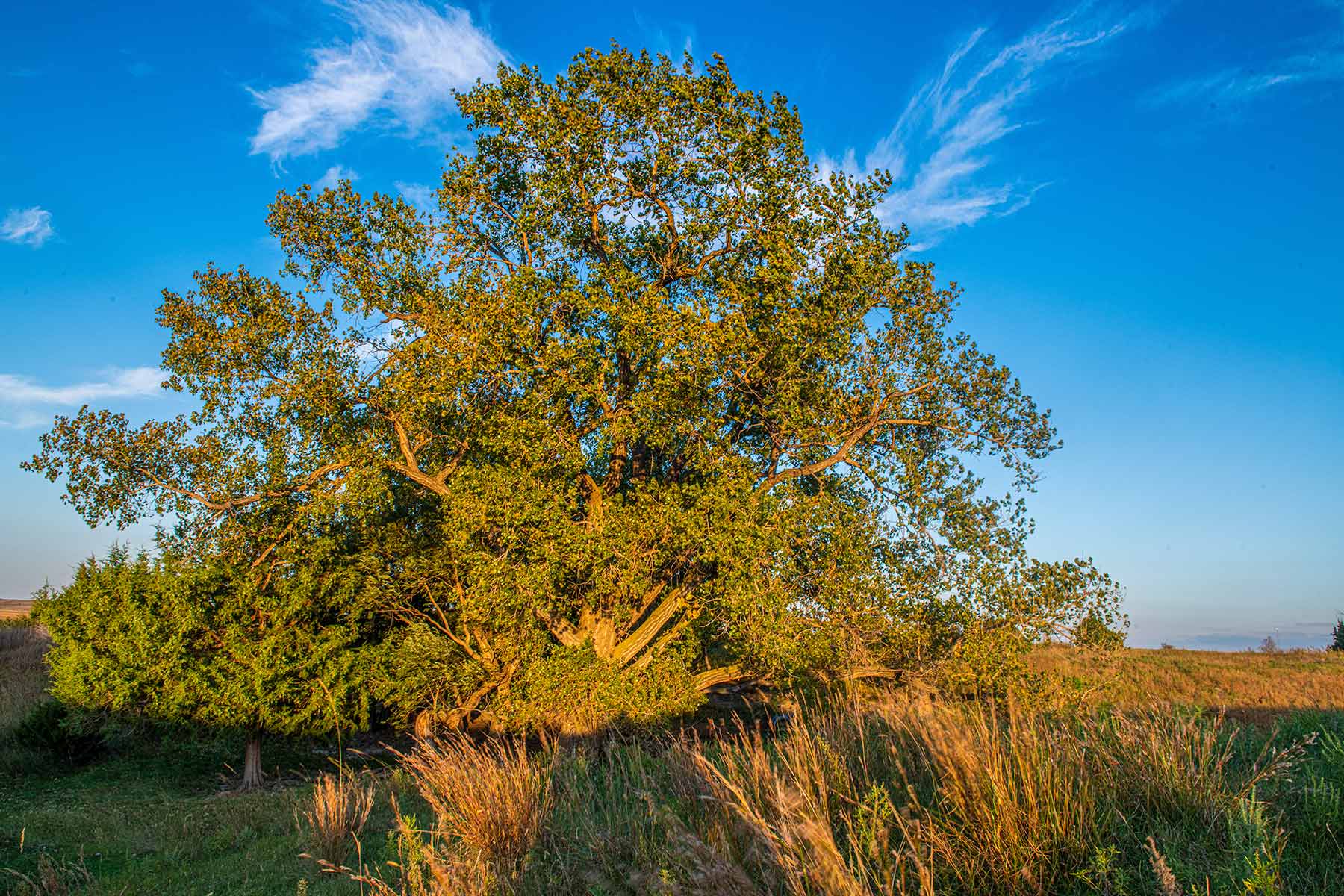 North Loup River Ranch property picture 85 of 99
