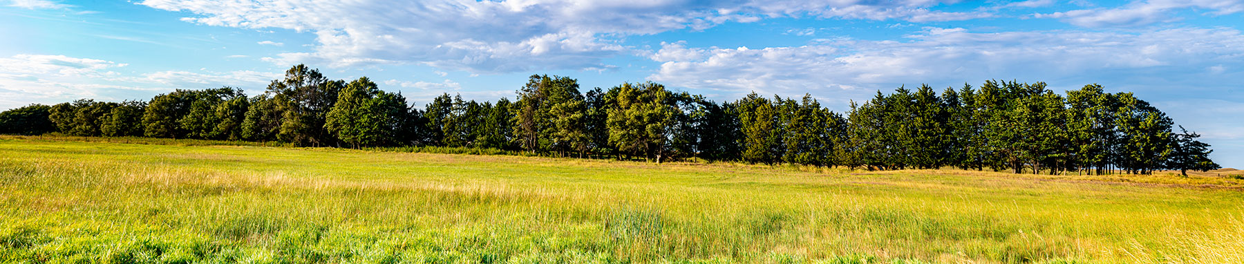 North Loup River Ranch property picture 5 of 99