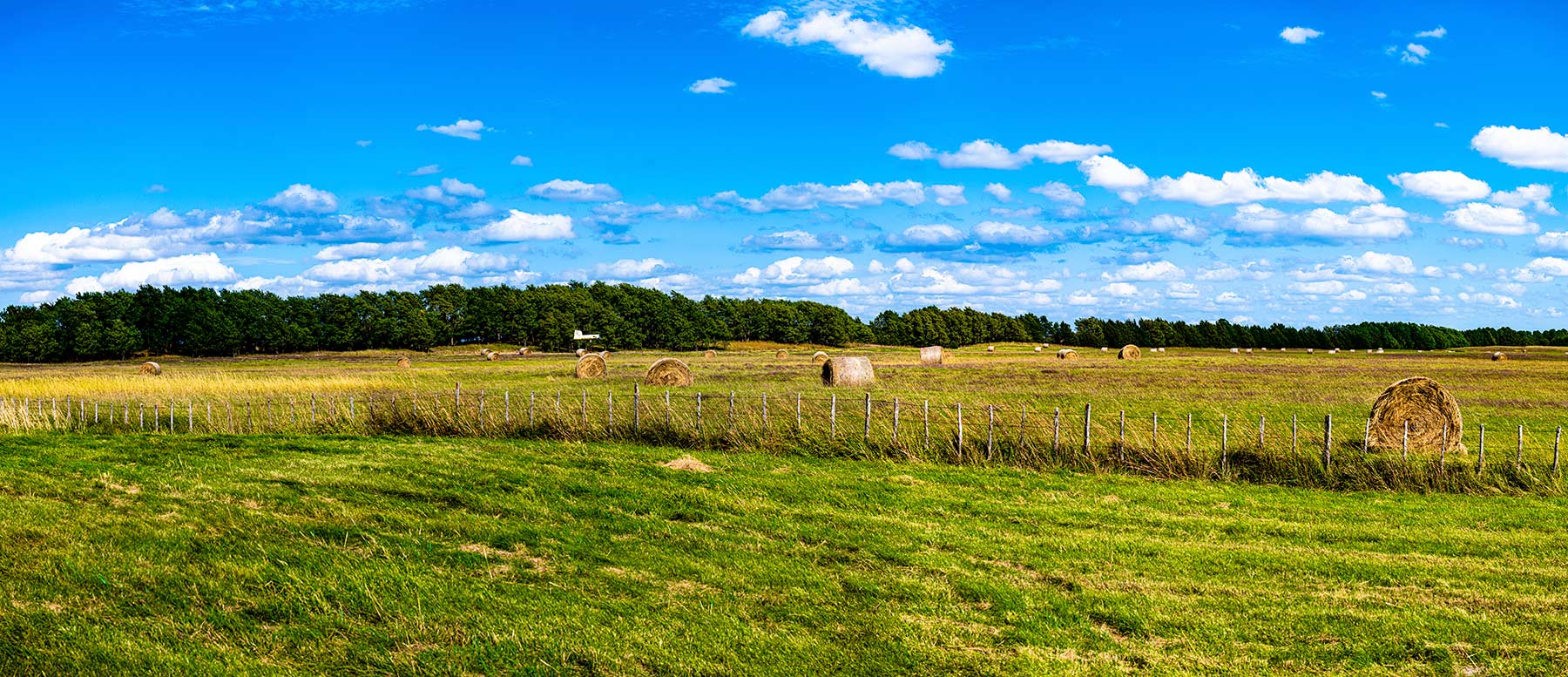 North Loup River Ranch property picture 10 of 99