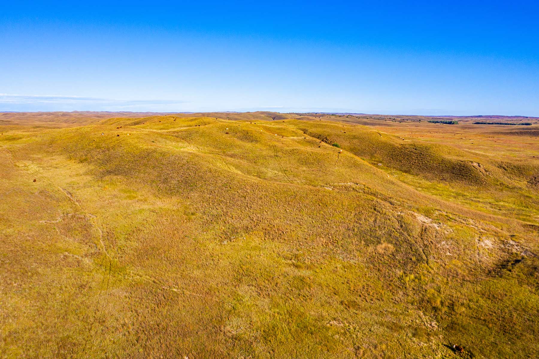 North Loup River Ranch property picture 22 of 99