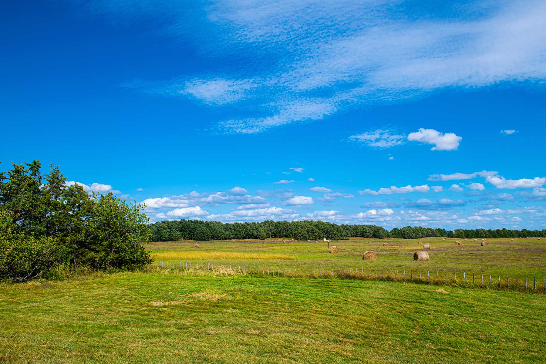 North Loup River Ranch property picture 42 of 99